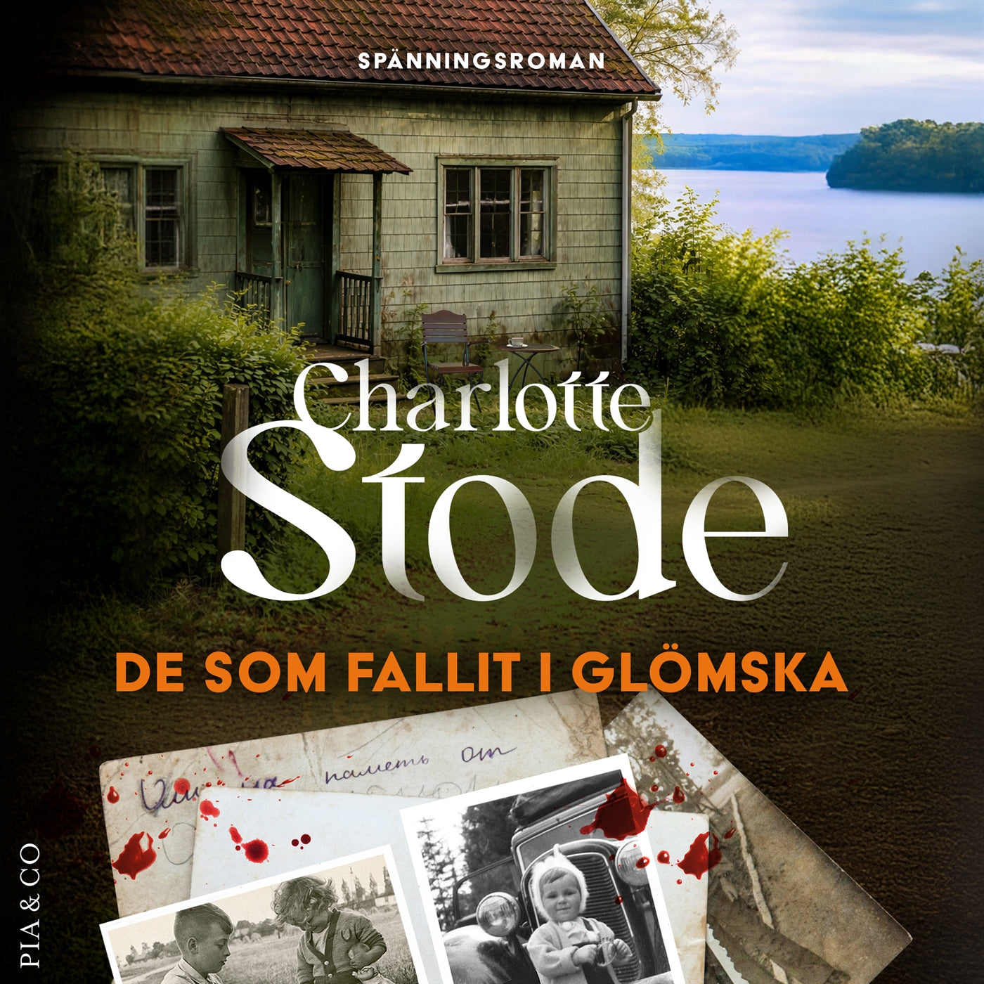 De som fallit i glömska – Ljudbok