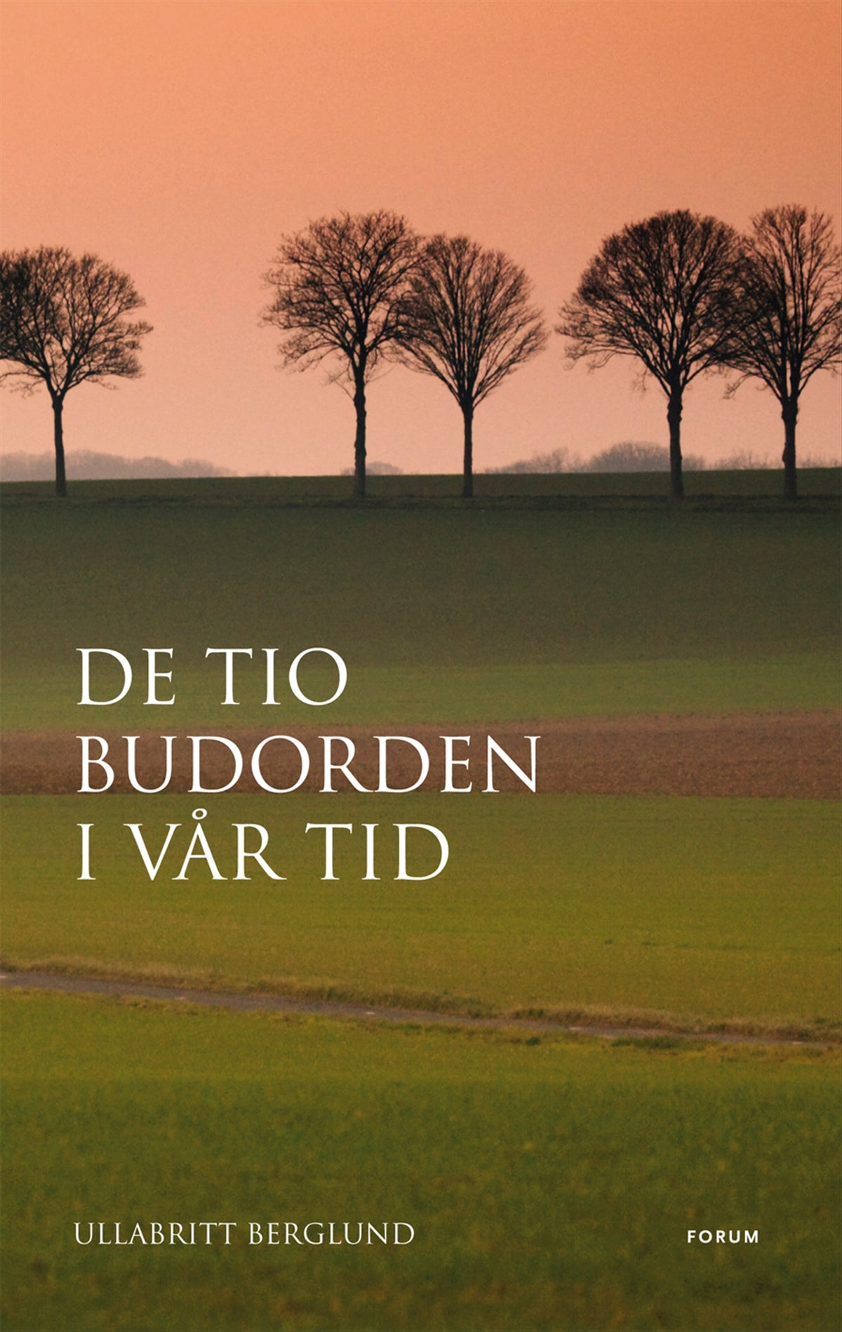 De tio budorden i vår tid – E-bok