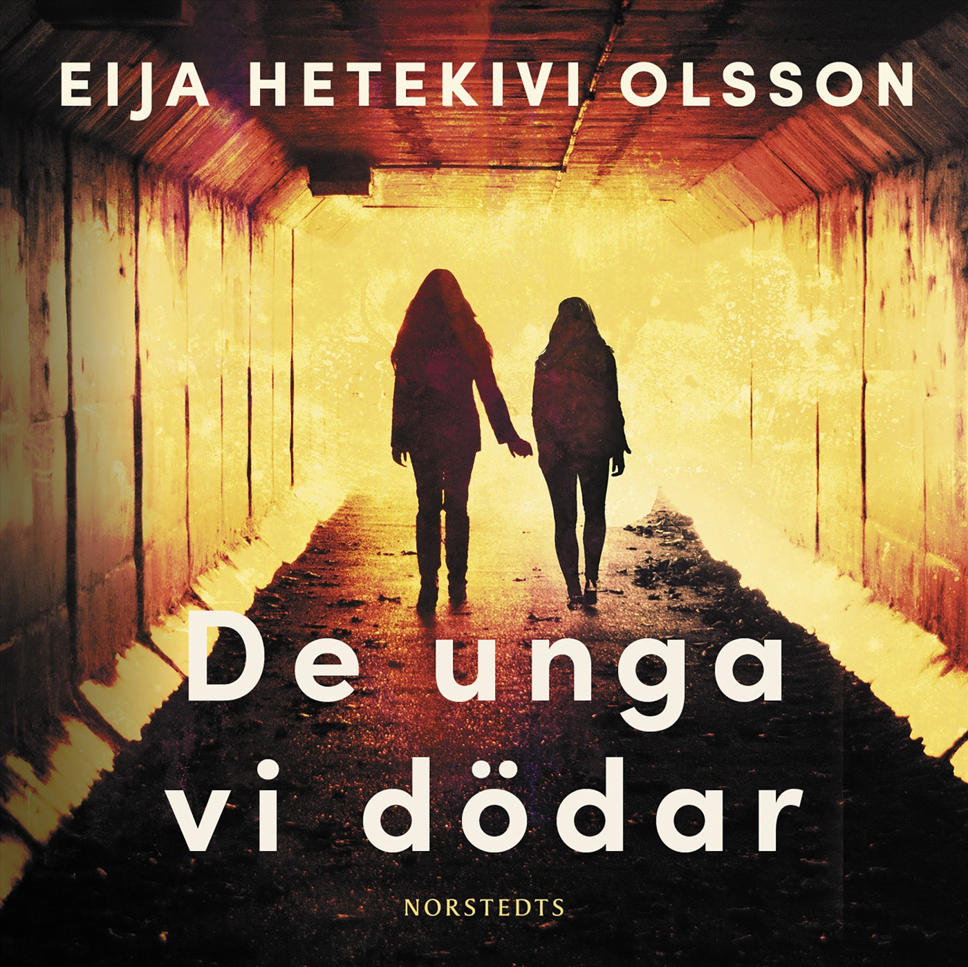 De unga vi dödar – Ljudbok