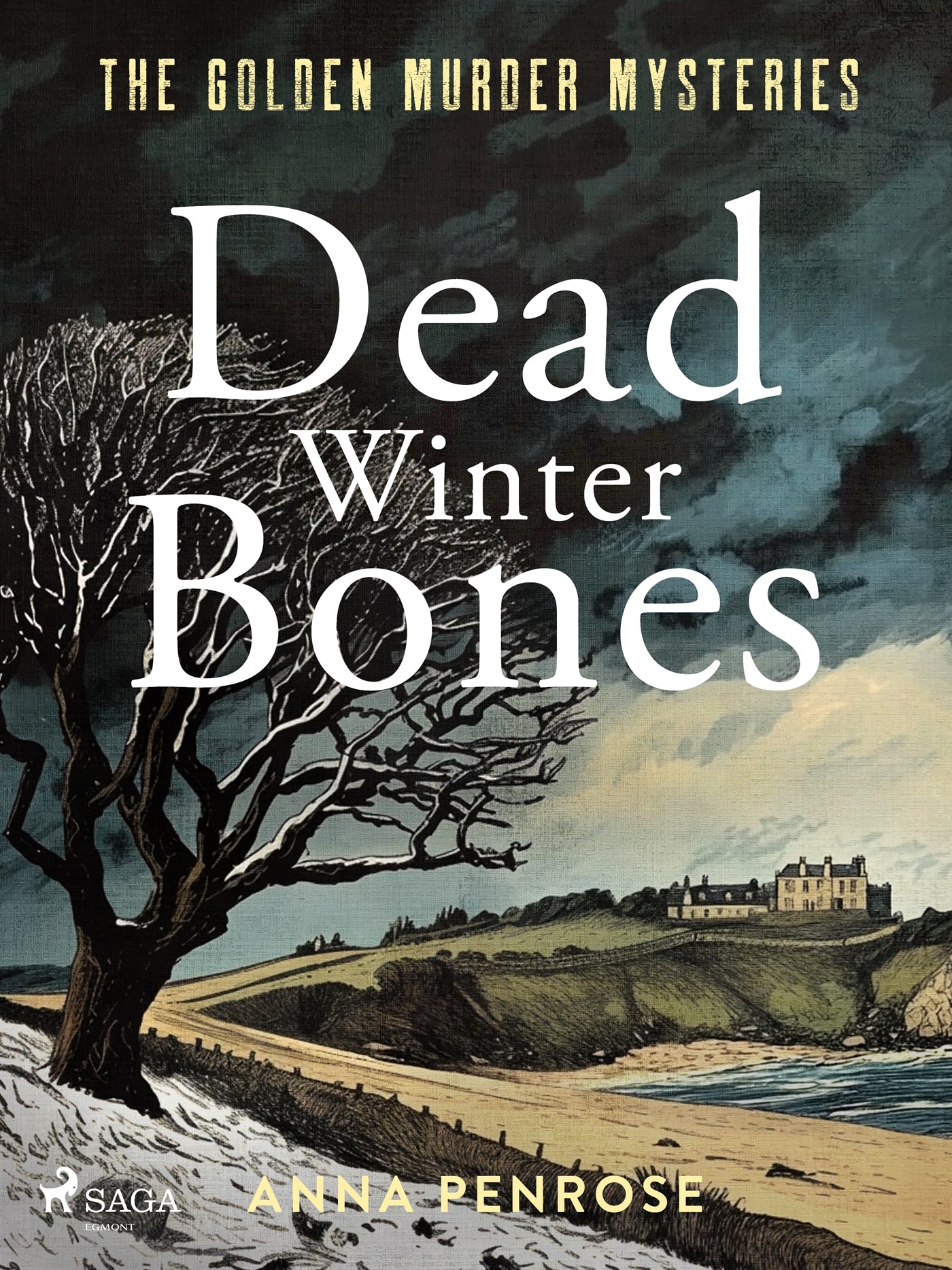 Dead Winter Bones: A suspenseful British crime mystery set in the Cornish countryside – E-bok