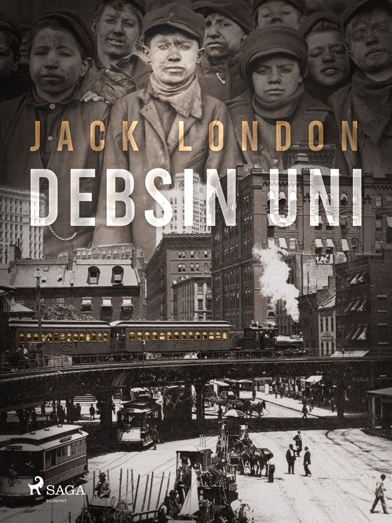 Debsin uni – E-bok