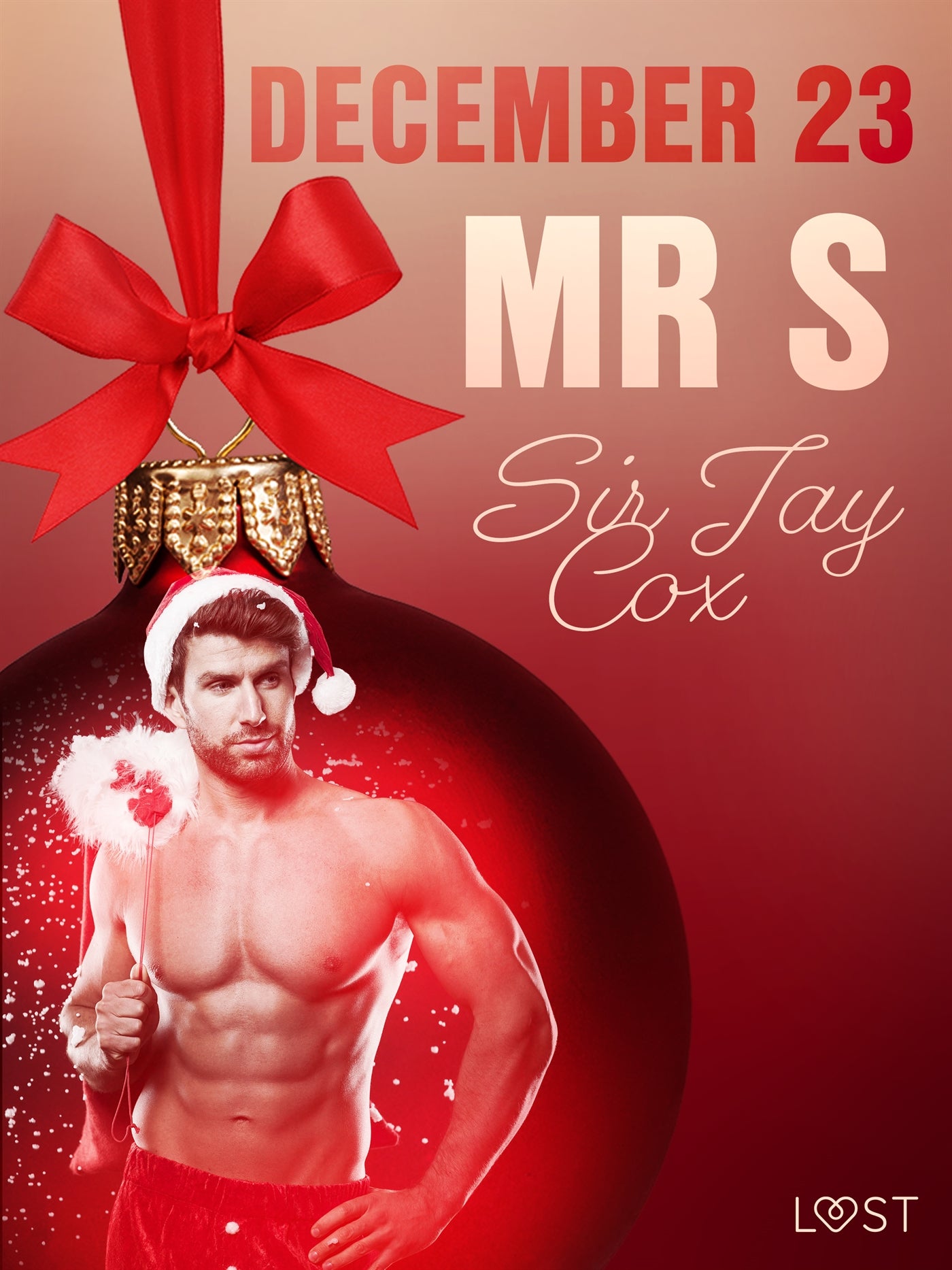 December 23: Mr S – An Erotic Christmas Calendar – E-bok