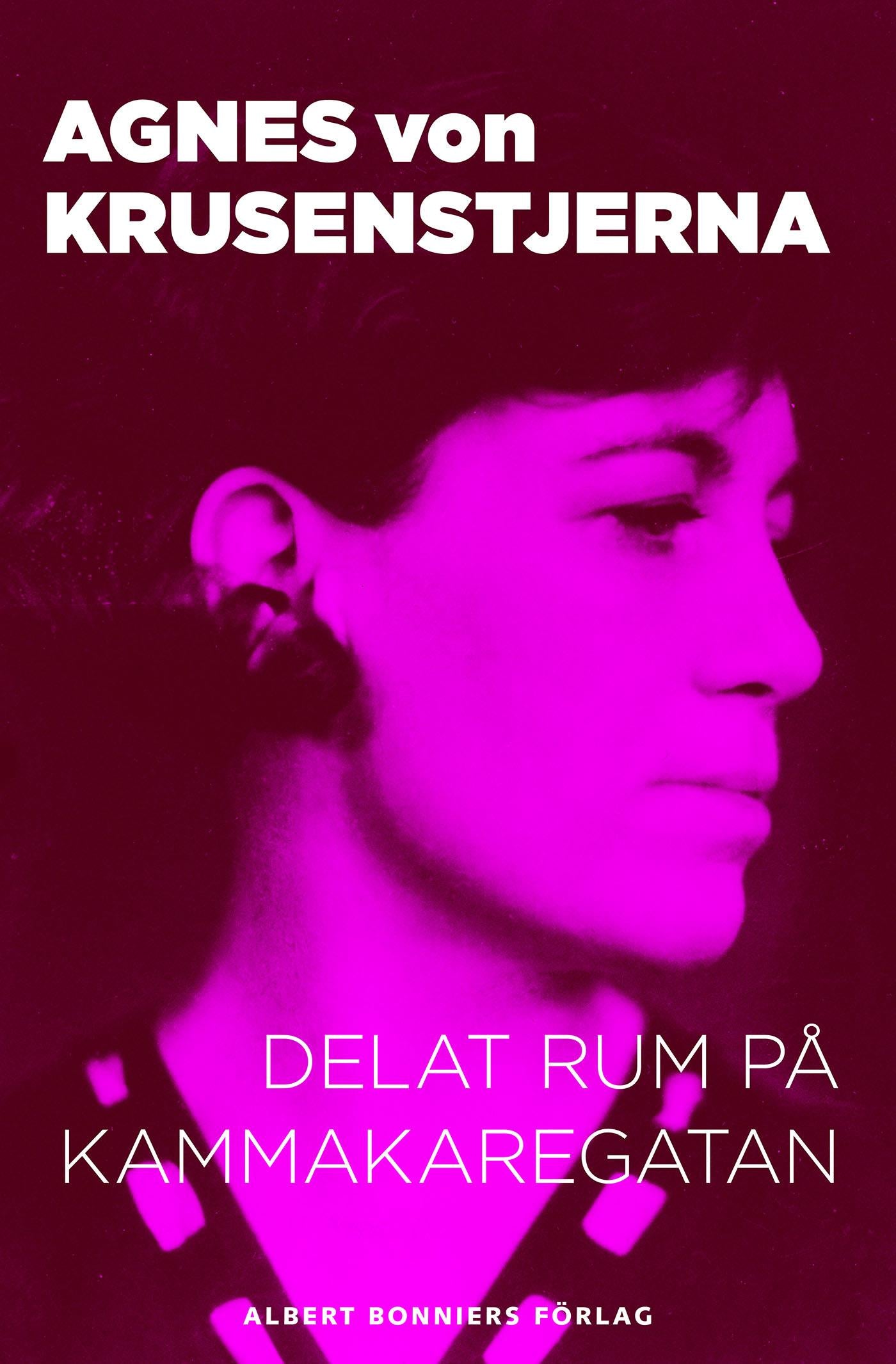Delat rum på Kammakaregatan – E-bok