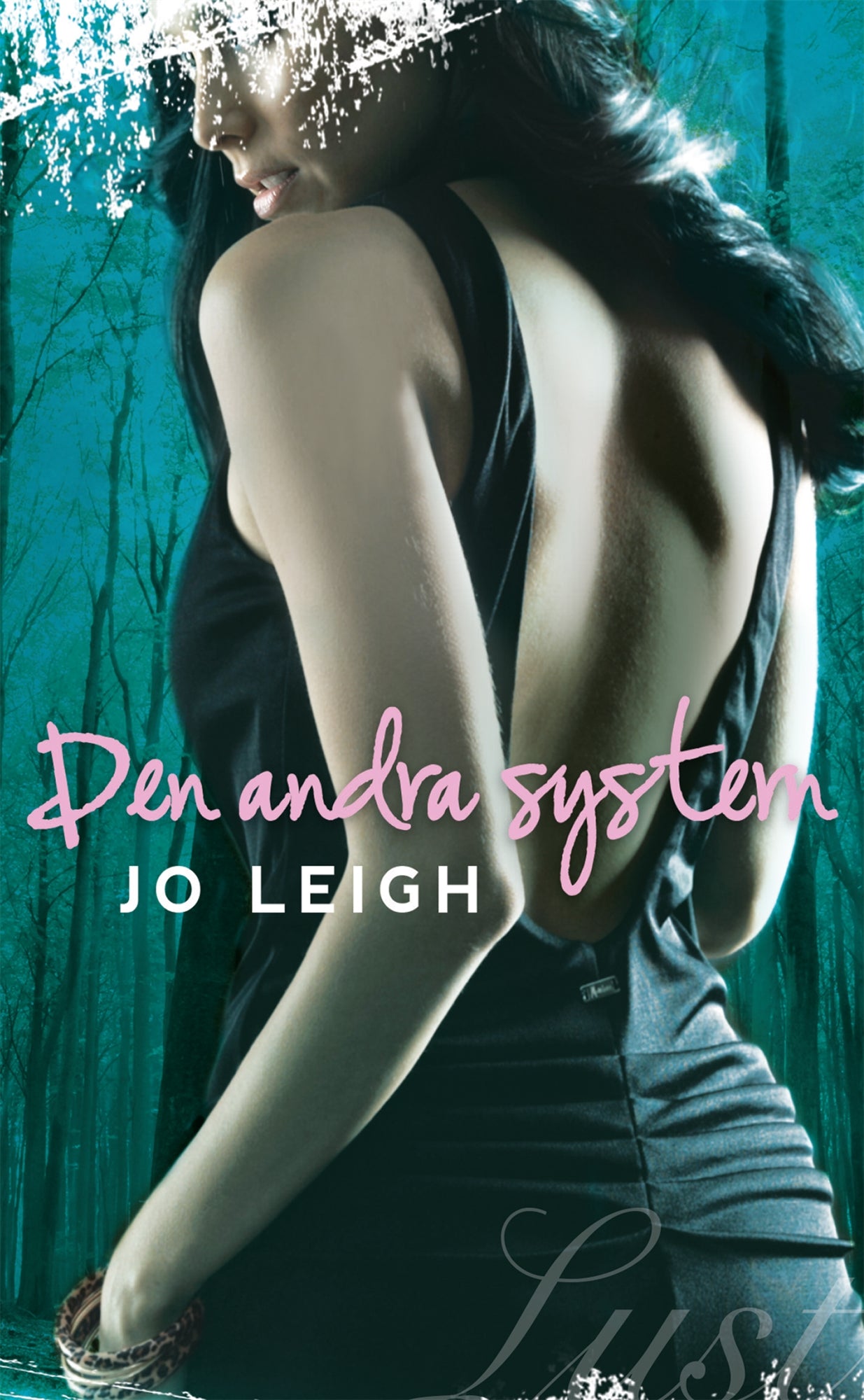 Den andra systern – E-bok