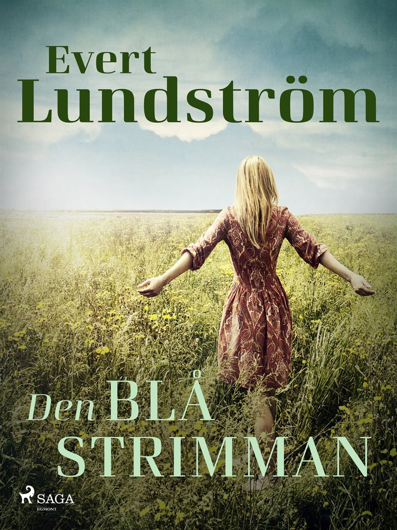 Den blå strimman – E-bok