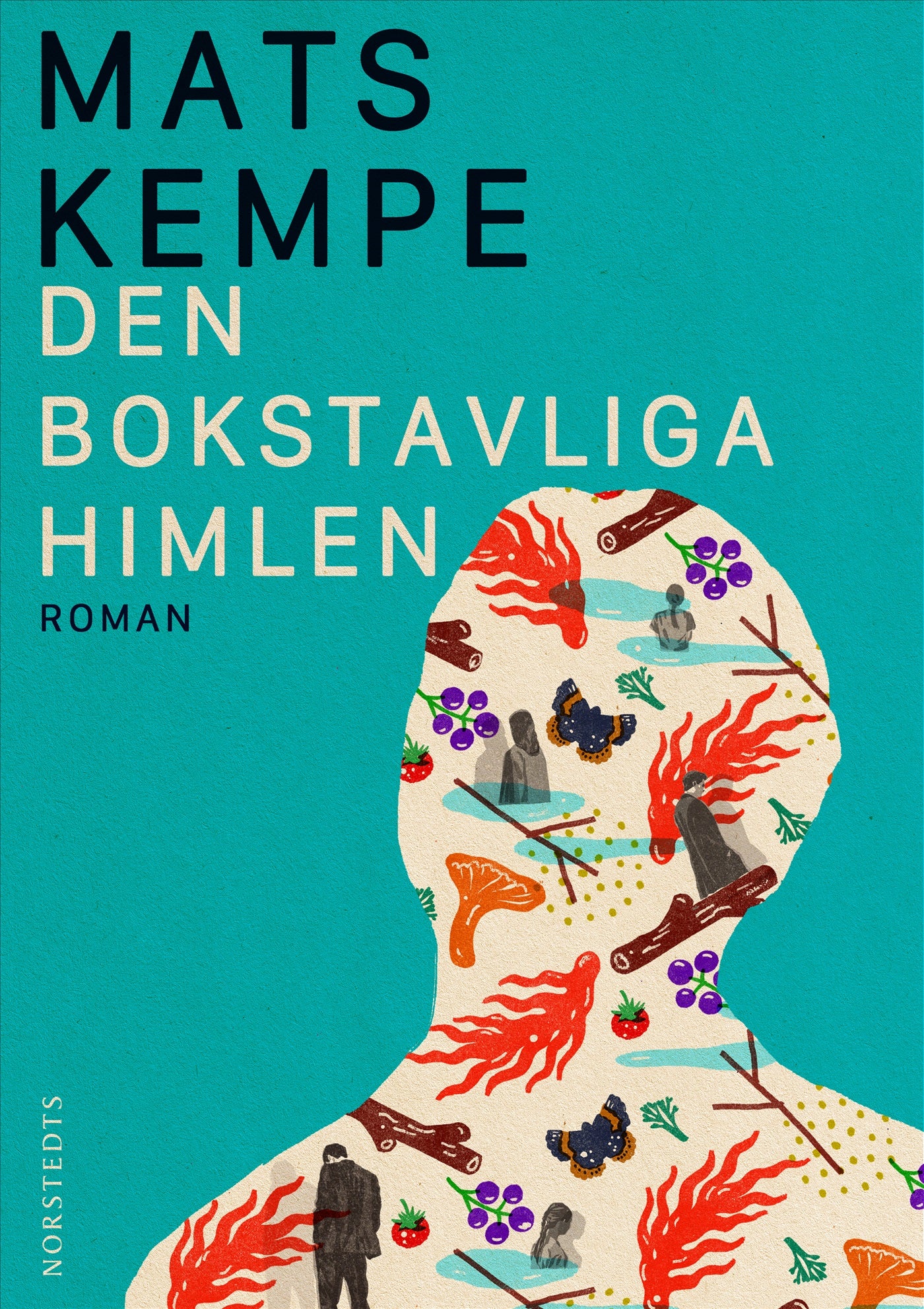 Den bokstavliga himlen – E-bok