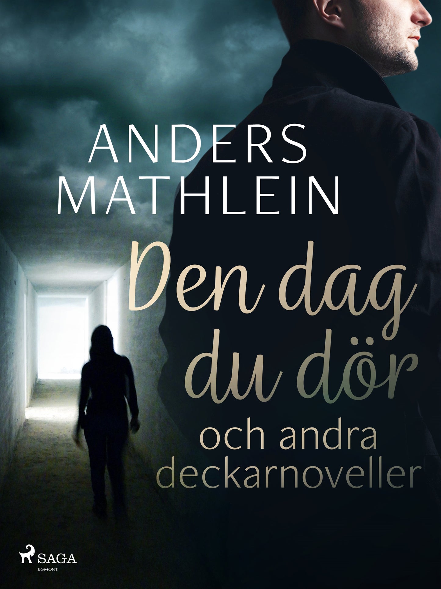 Den dag du dör och andra deckarnoveller – E-bok