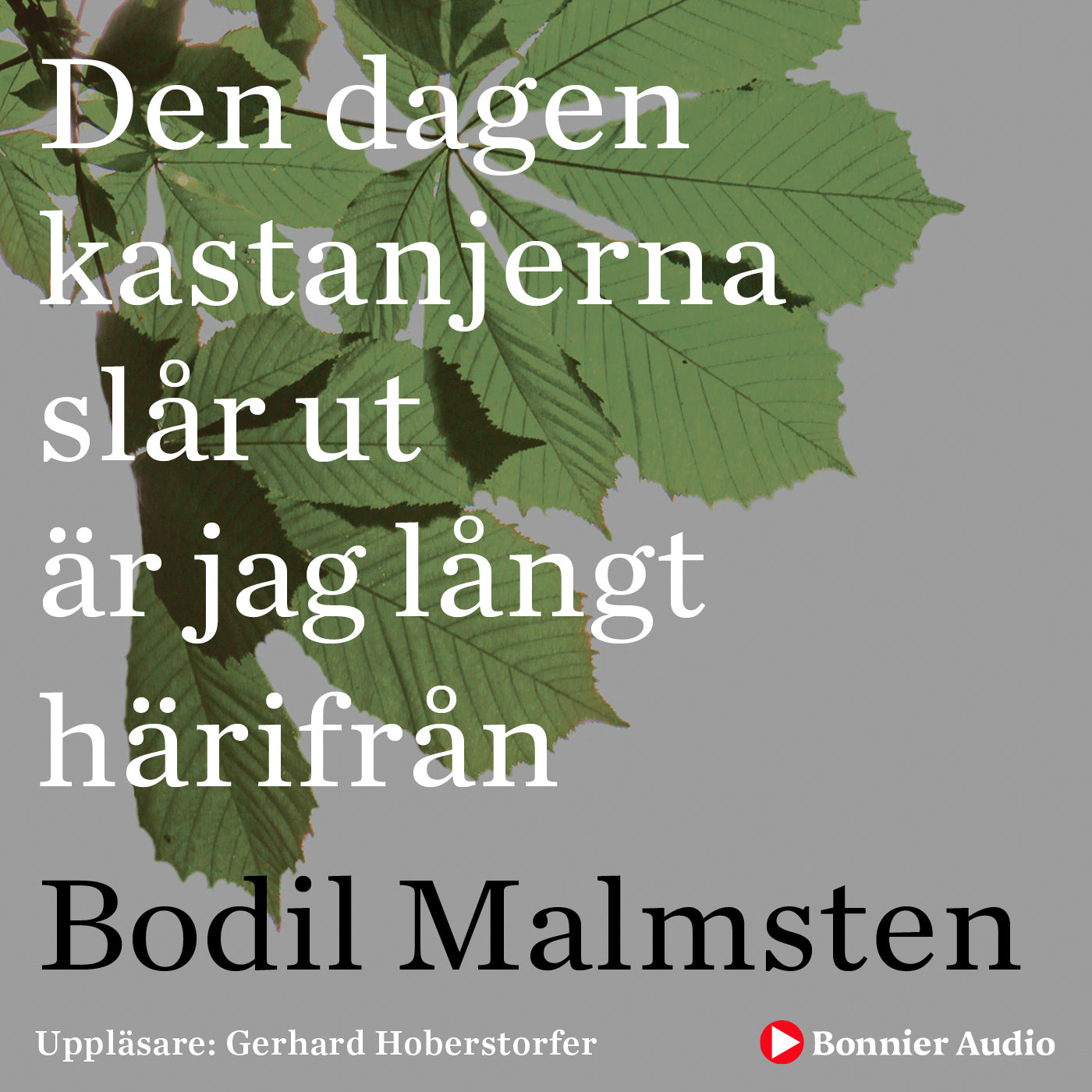 Den dagen kastanjerna slår ut är jag långt härifrån – Ljudbok