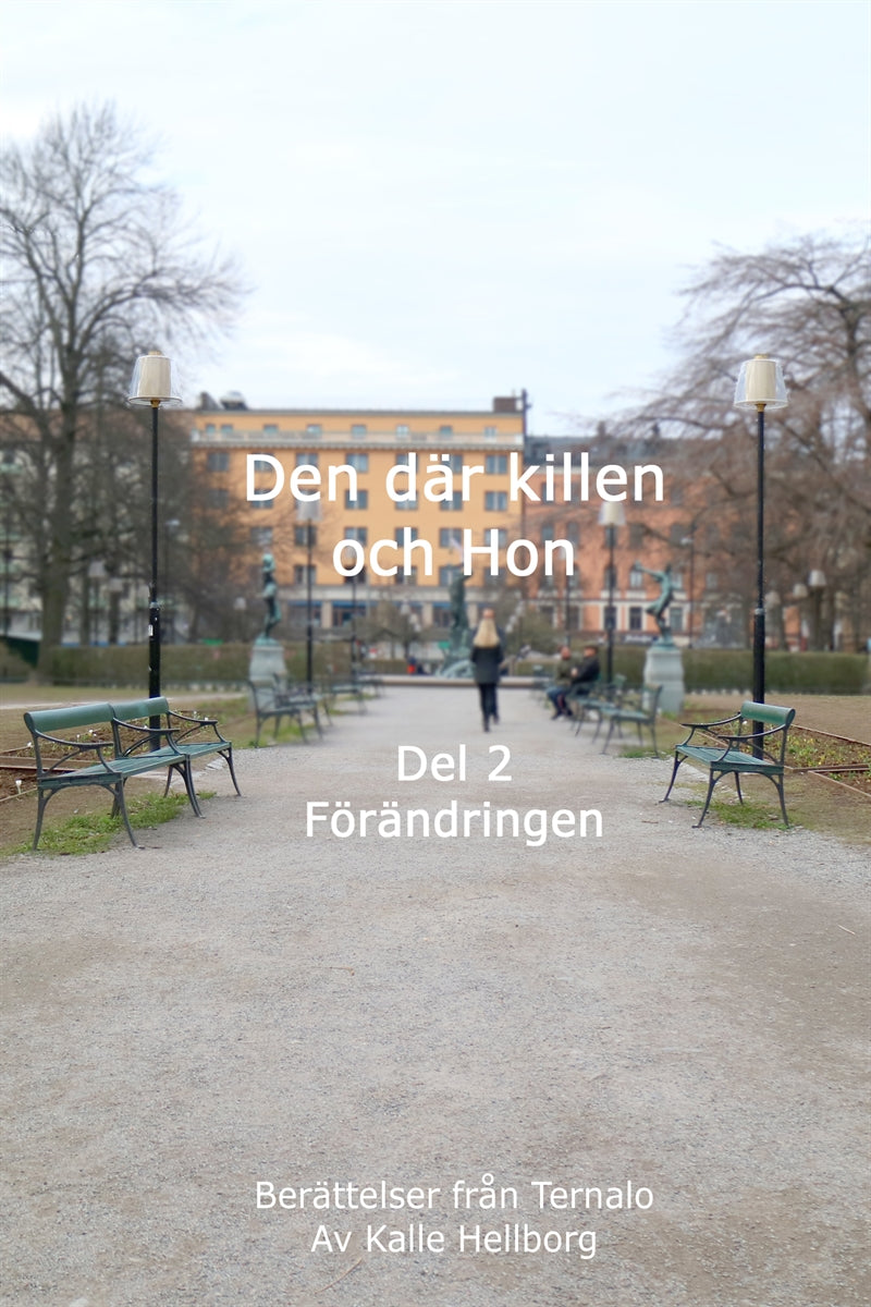 Den där killen och Hon - Del 2 - Förändringen: Berättelser från Ternalo – E-bok