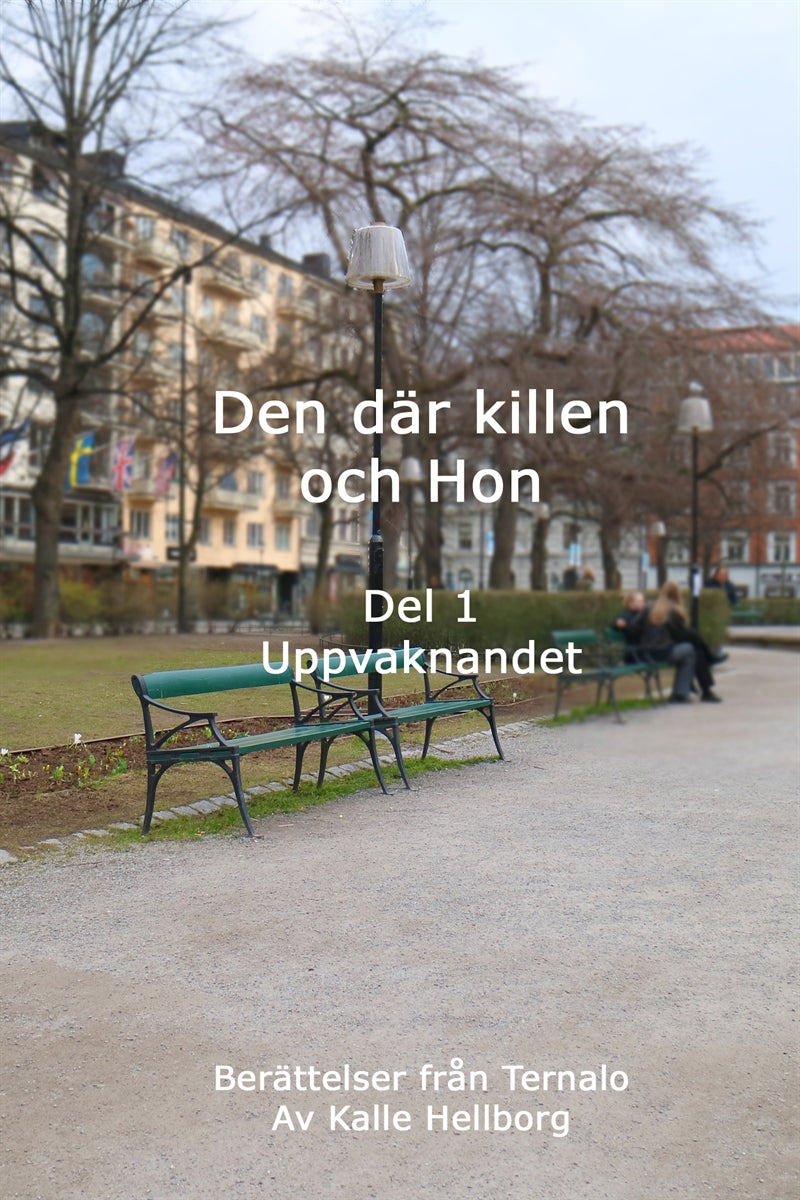 Den där killen och Hon - Uppvaknandet: Berättelser från Ternalo – E-bok