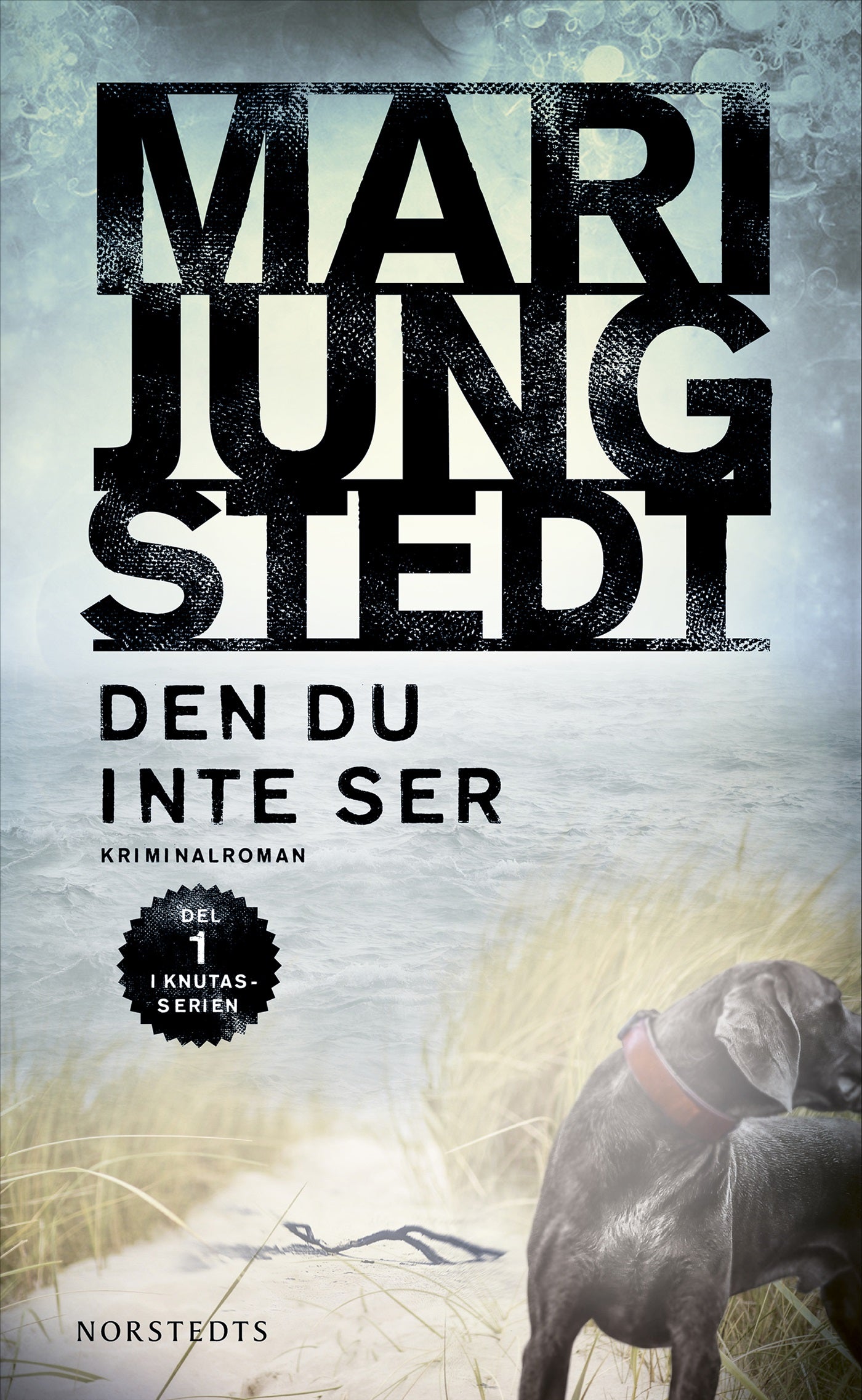 Den du inte ser – E-bok