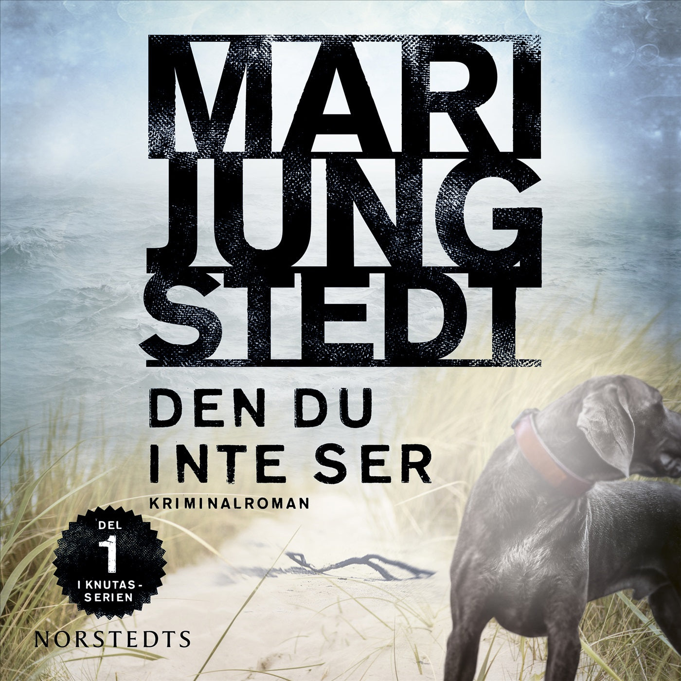Den du inte ser – Ljudbok
