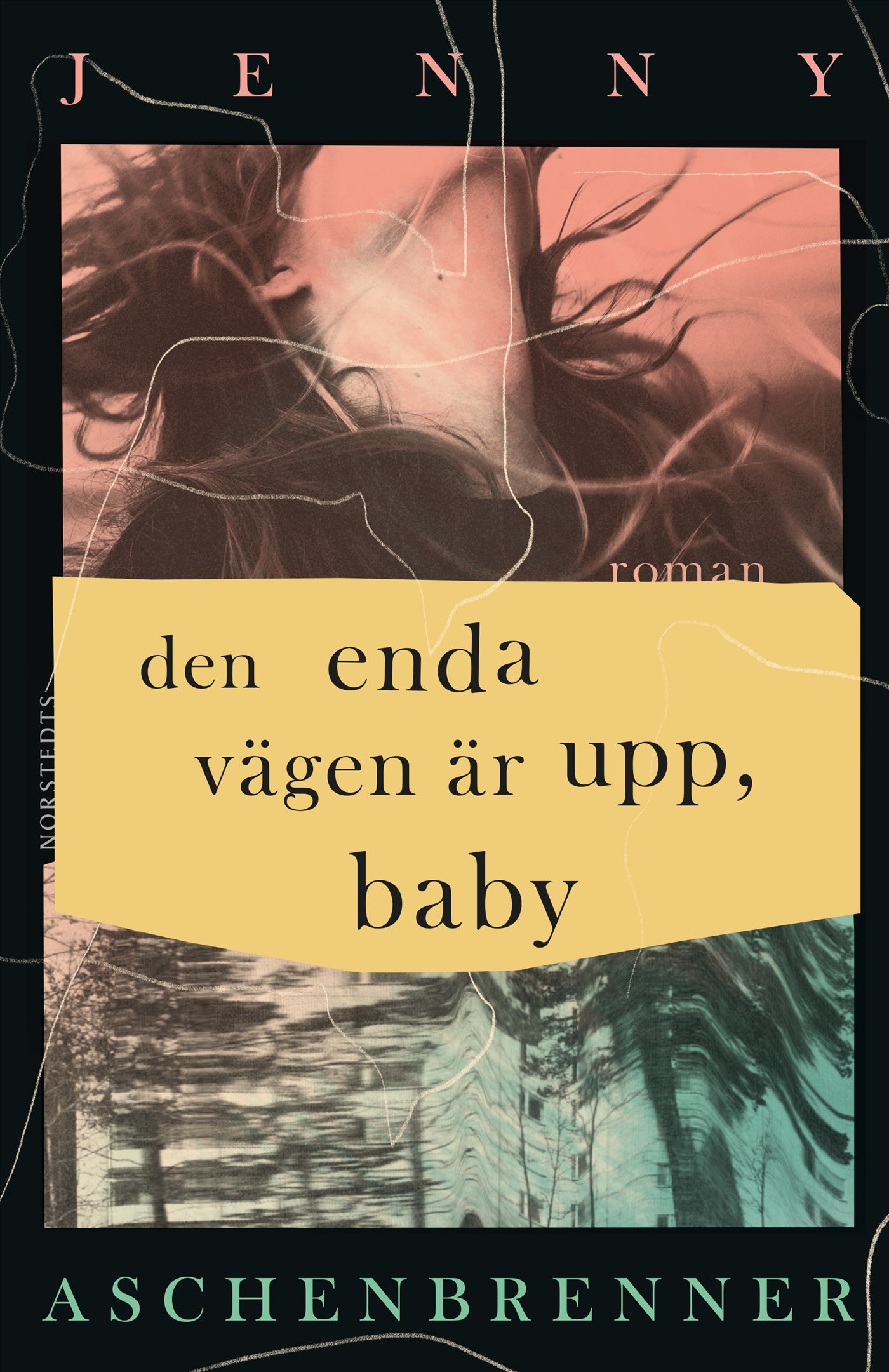 Den enda vägen är upp, baby – E-bok