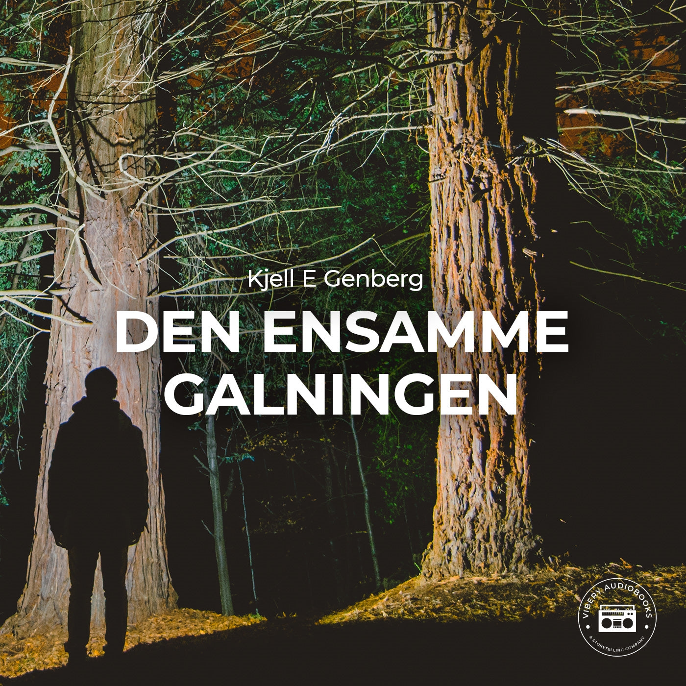 Den ensamme galningen – Ljudbok