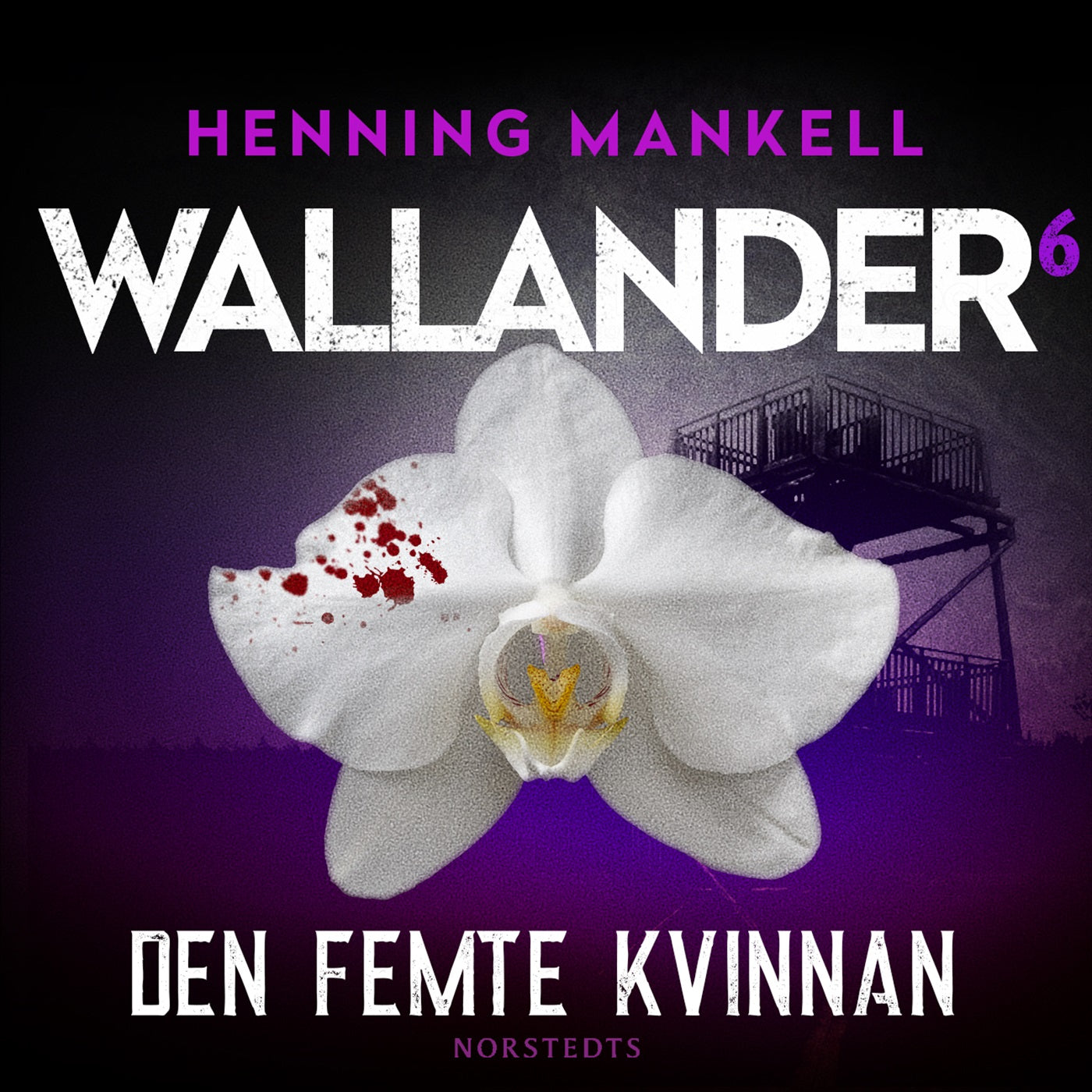 Den femte kvinnan – Ljudbok
