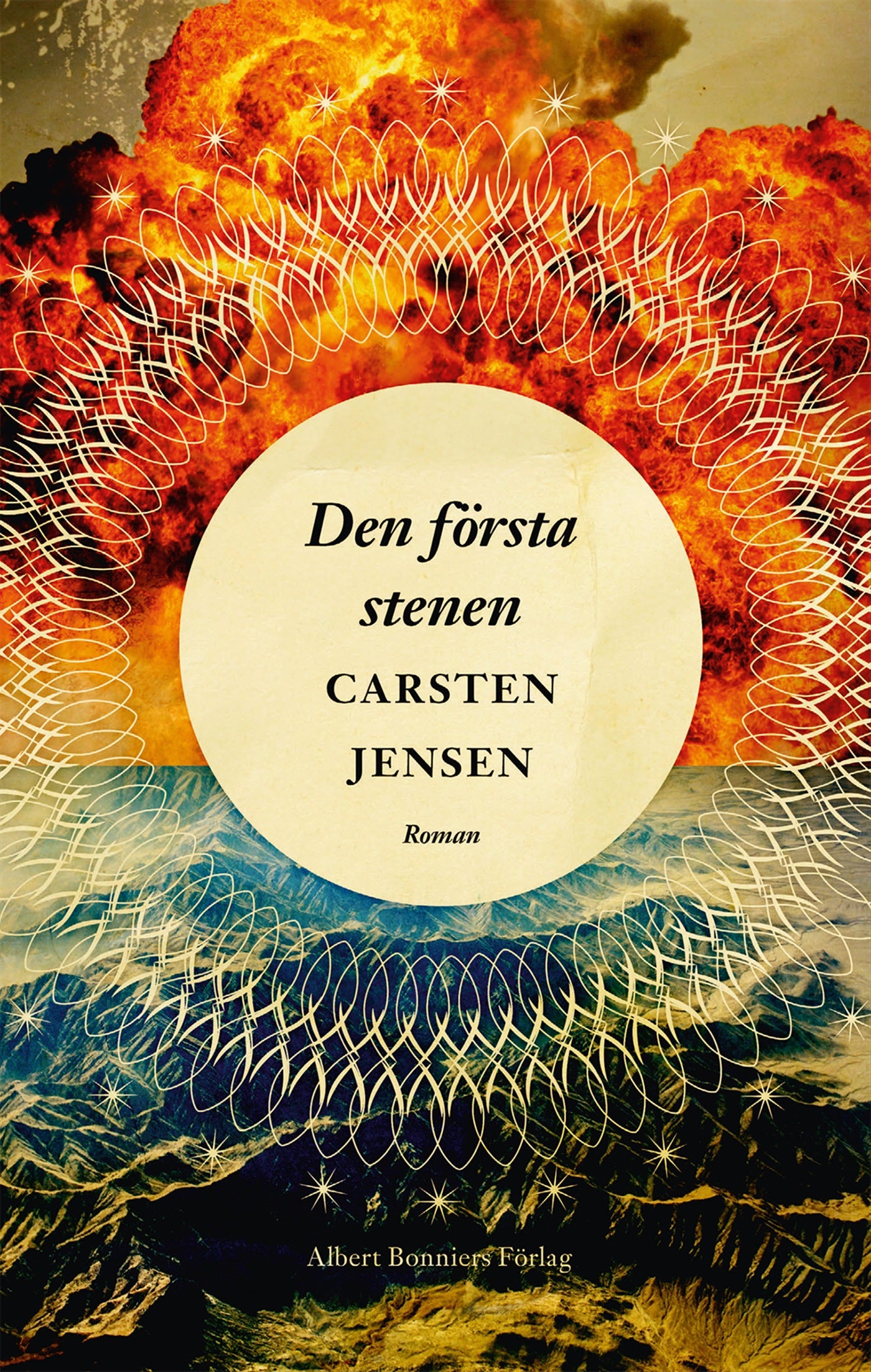 Den första stenen – E-bok
