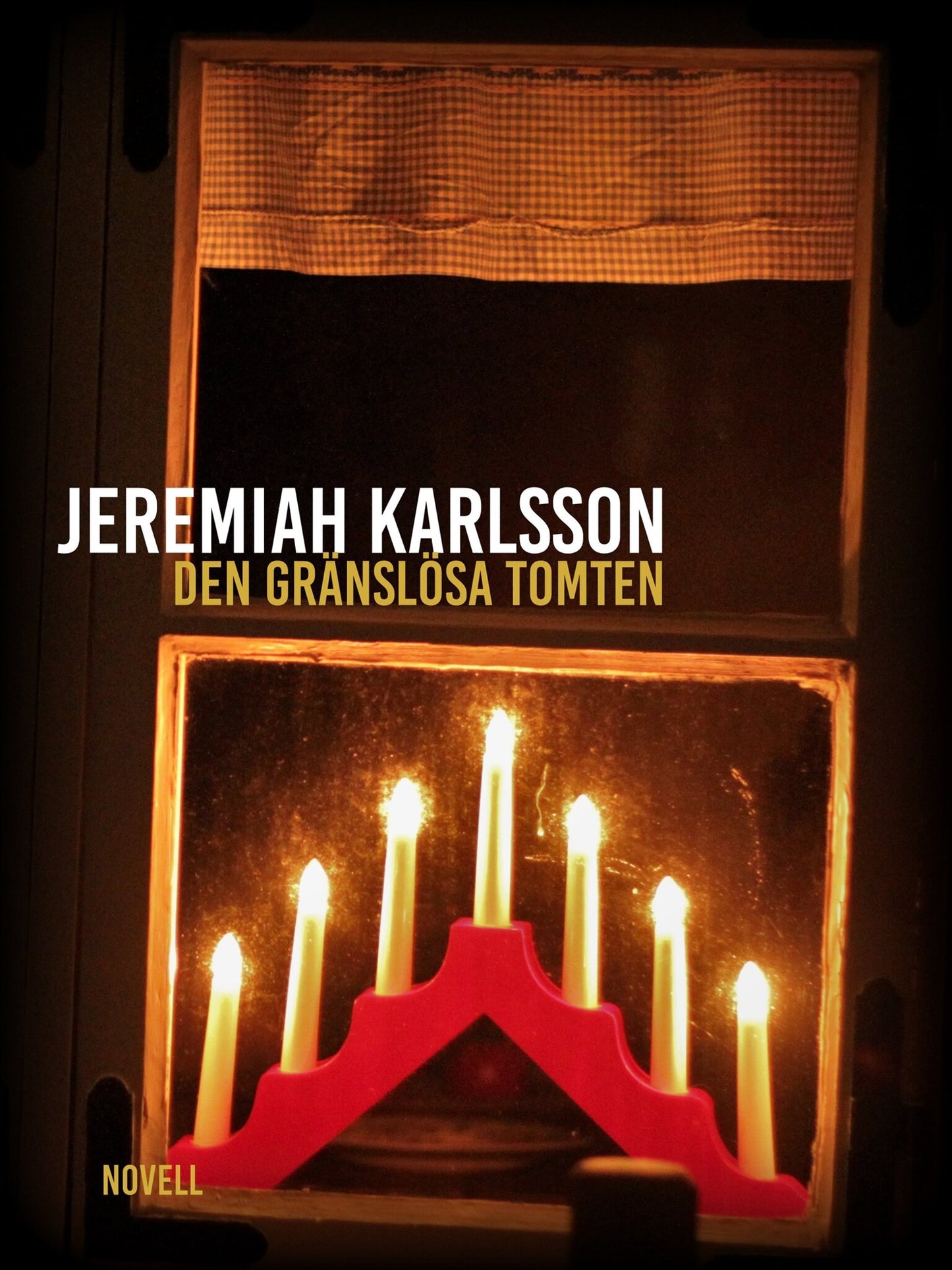 Den gränslösa tomten: novell – E-bok