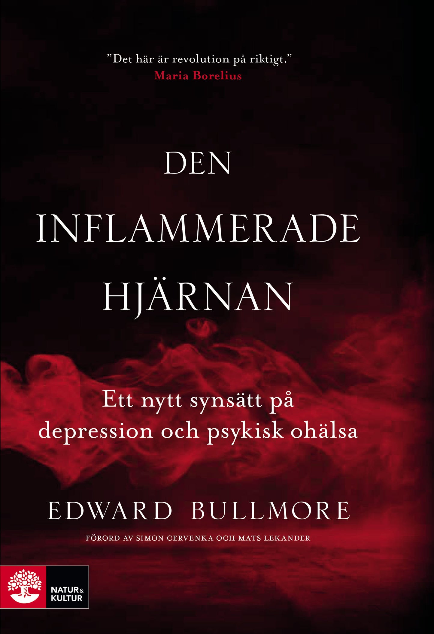 Den inflammerade hjärnan : ett nytt synsätt på depression och psykisk ohälsa – E-bok
