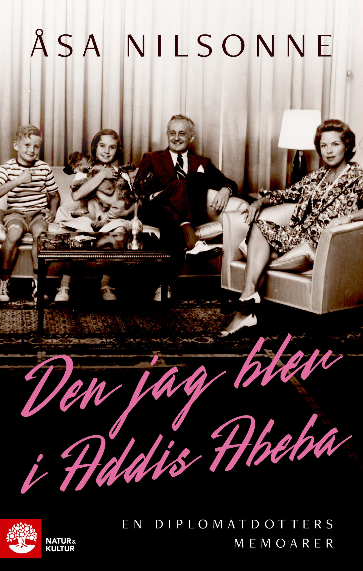 Den jag blev i Addis Abeba : en diplomatdotters memoarer – E-bok