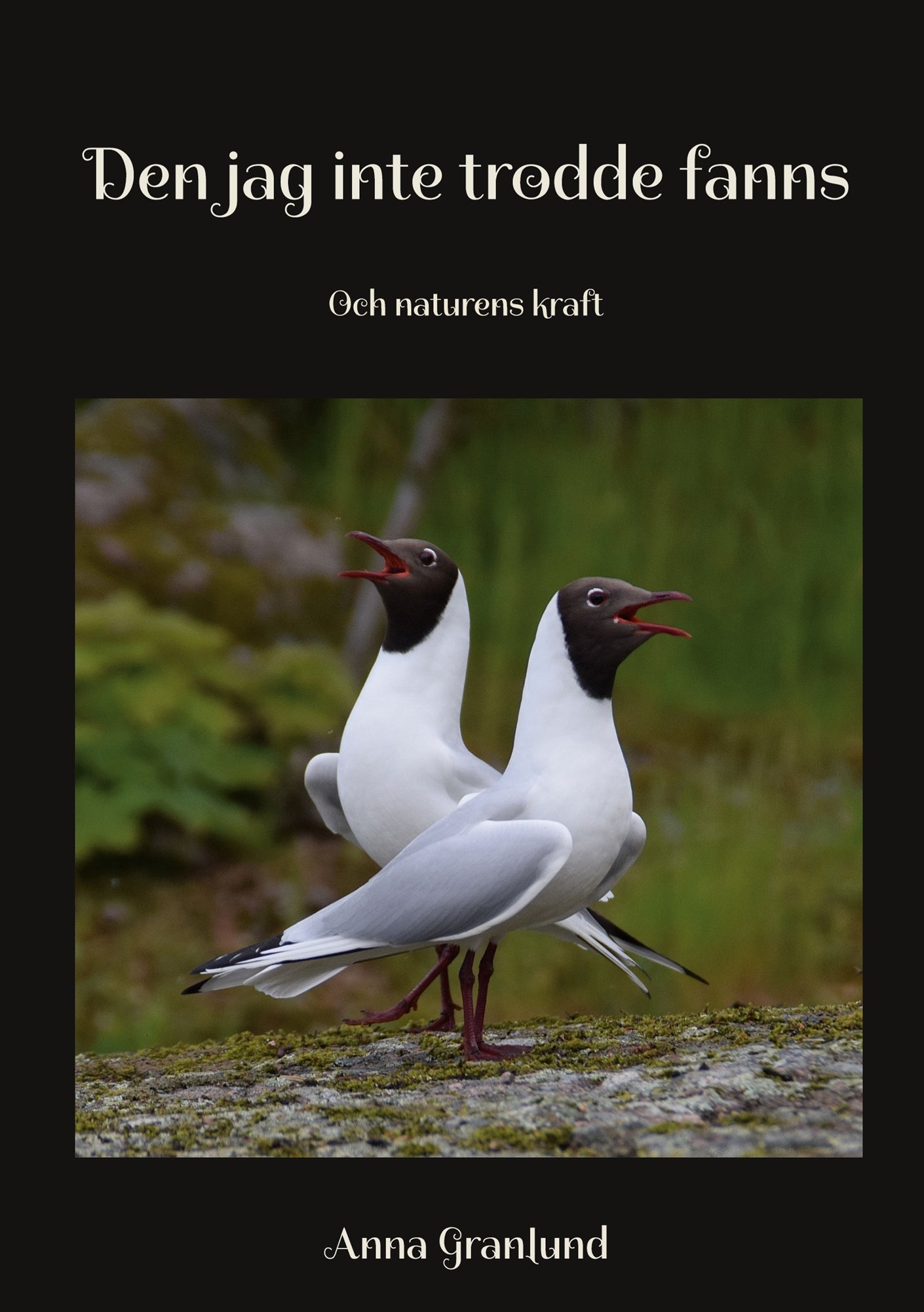 Den jag inte trodde fanns: Och naturens kraft – E-bok