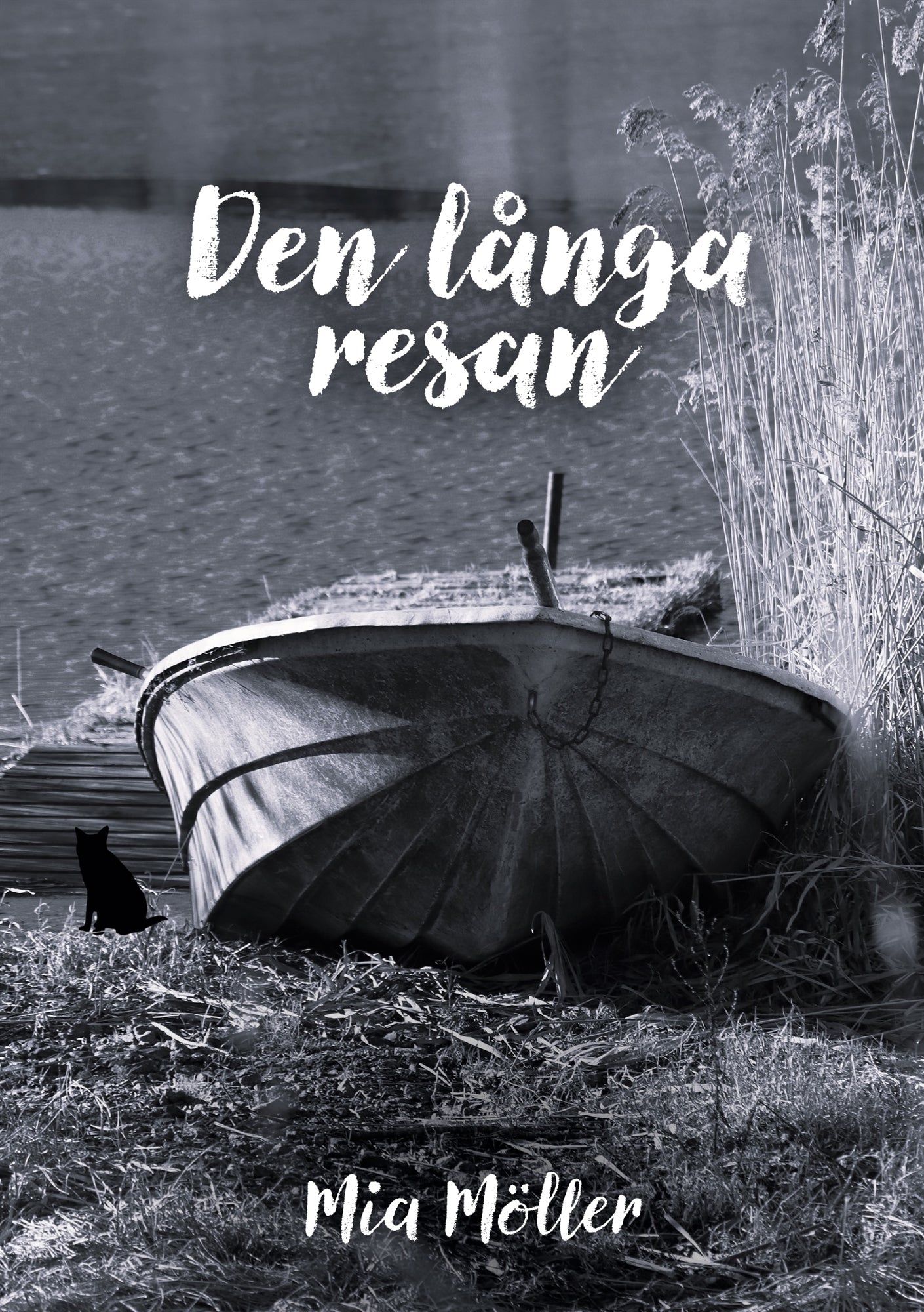 Den långa resan – E-bok