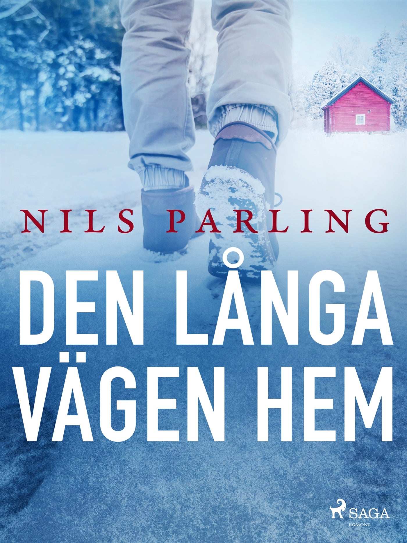 Den långa vägen hem – E-bok
