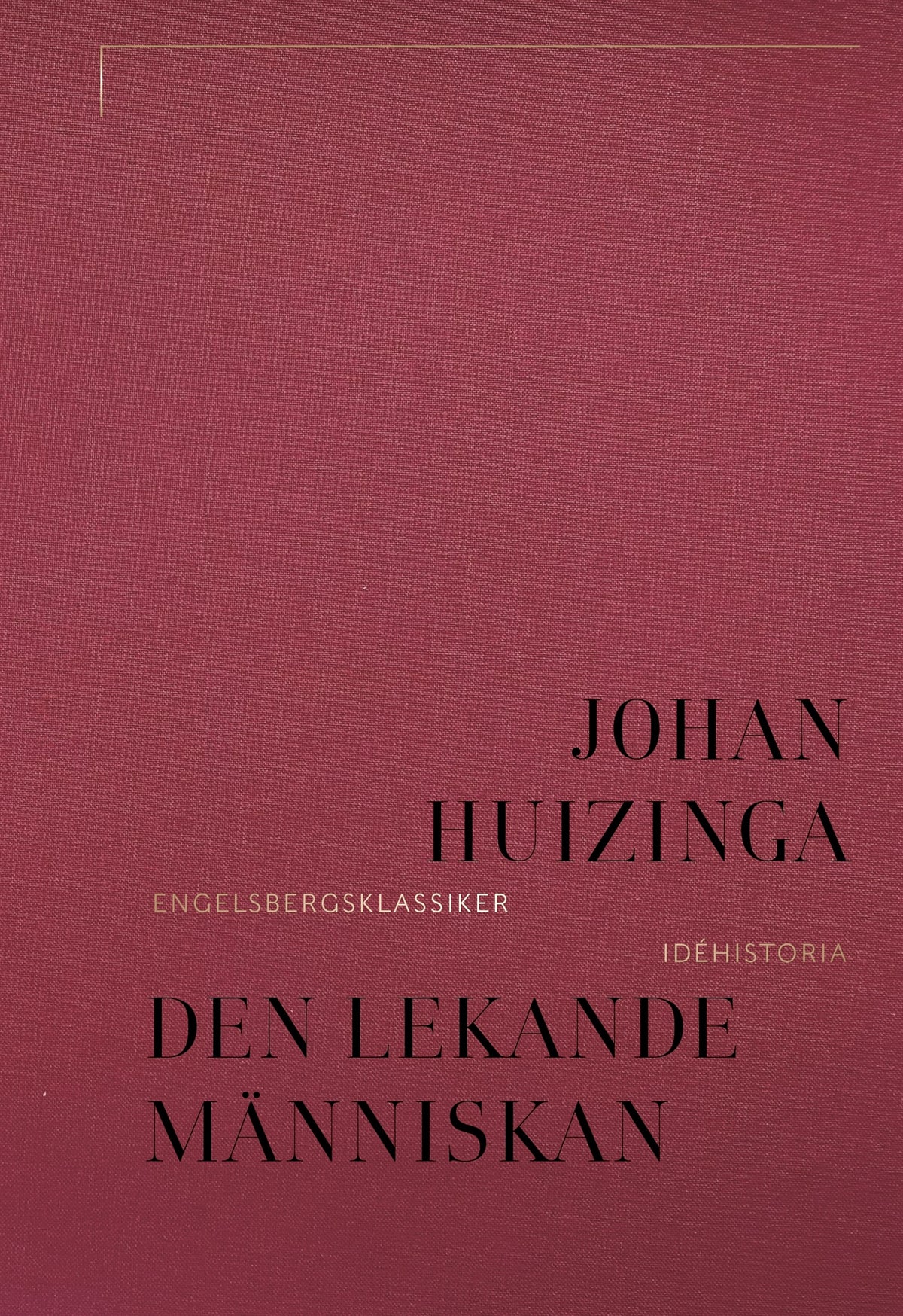 Den lekande människan – E-bok
