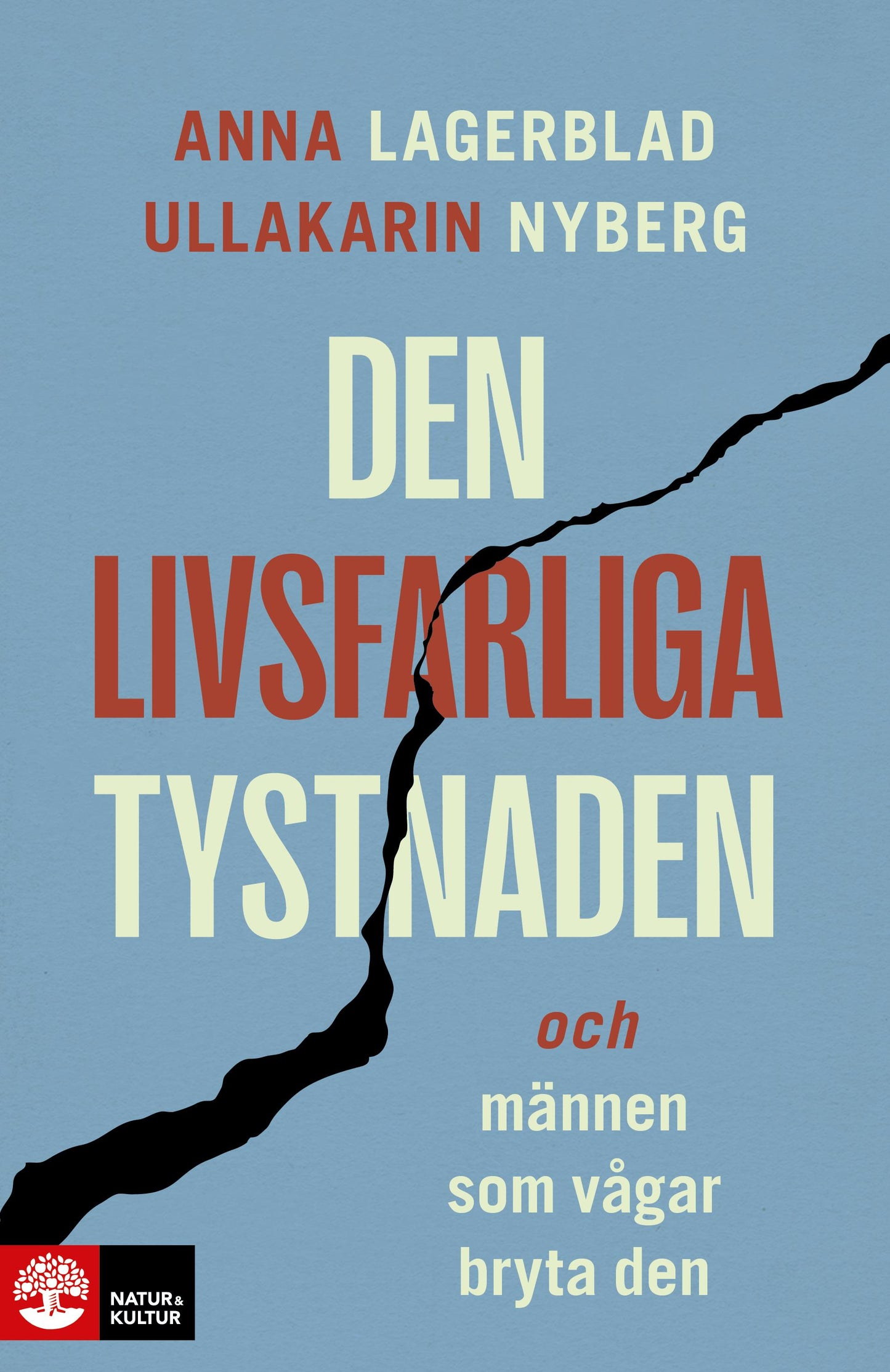 Den livsfarliga tystnaden : och männen som vågar bryta den – E-bok