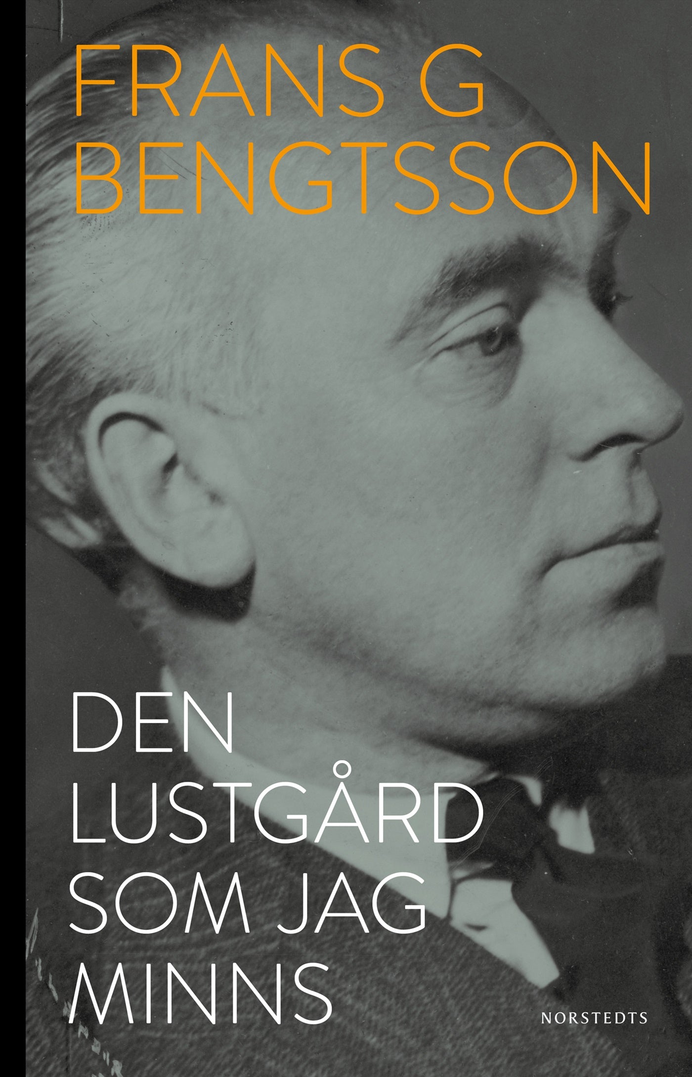 Den lustgård som jag minns – E-bok