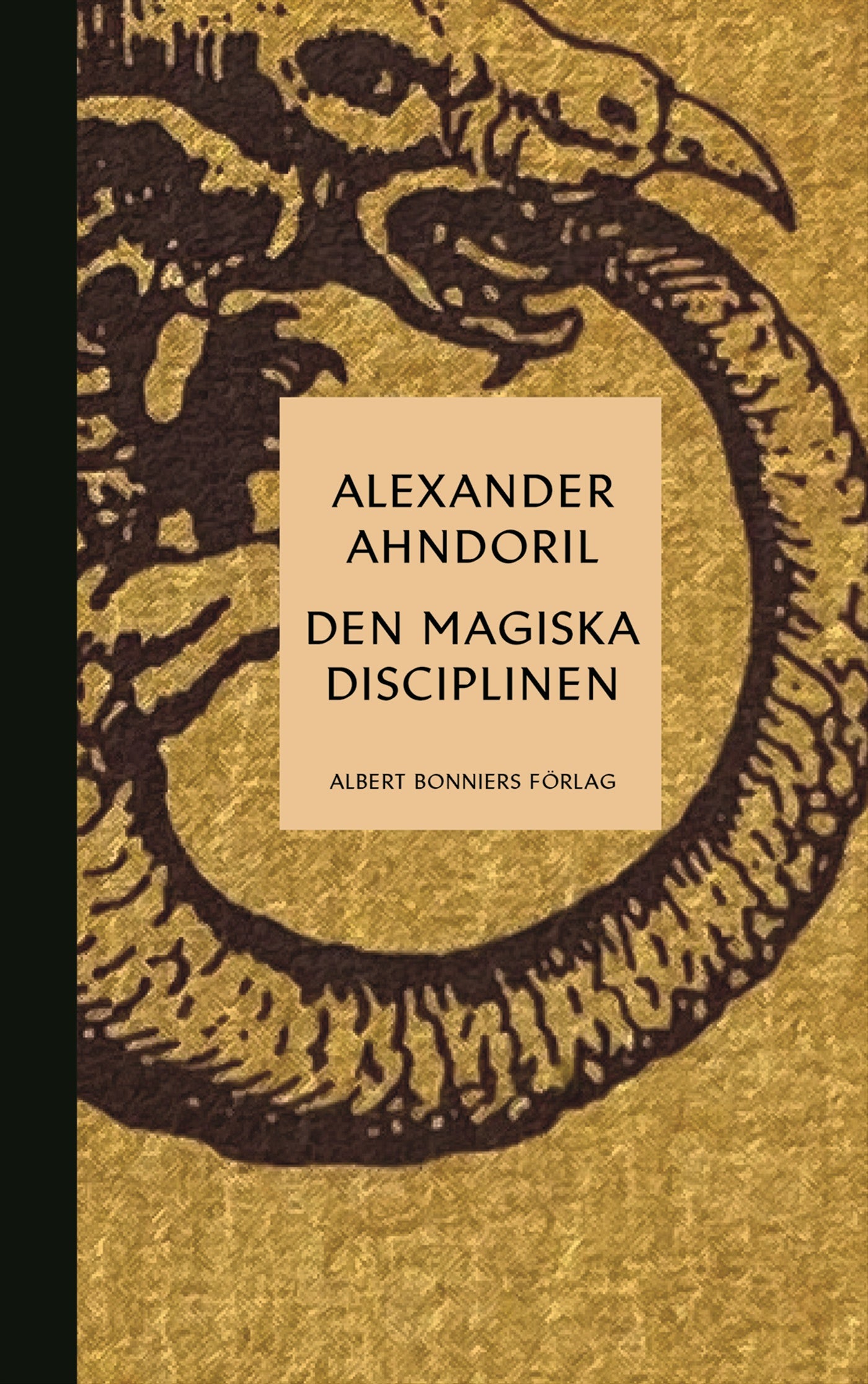 Den magiska disciplinen – E-bok