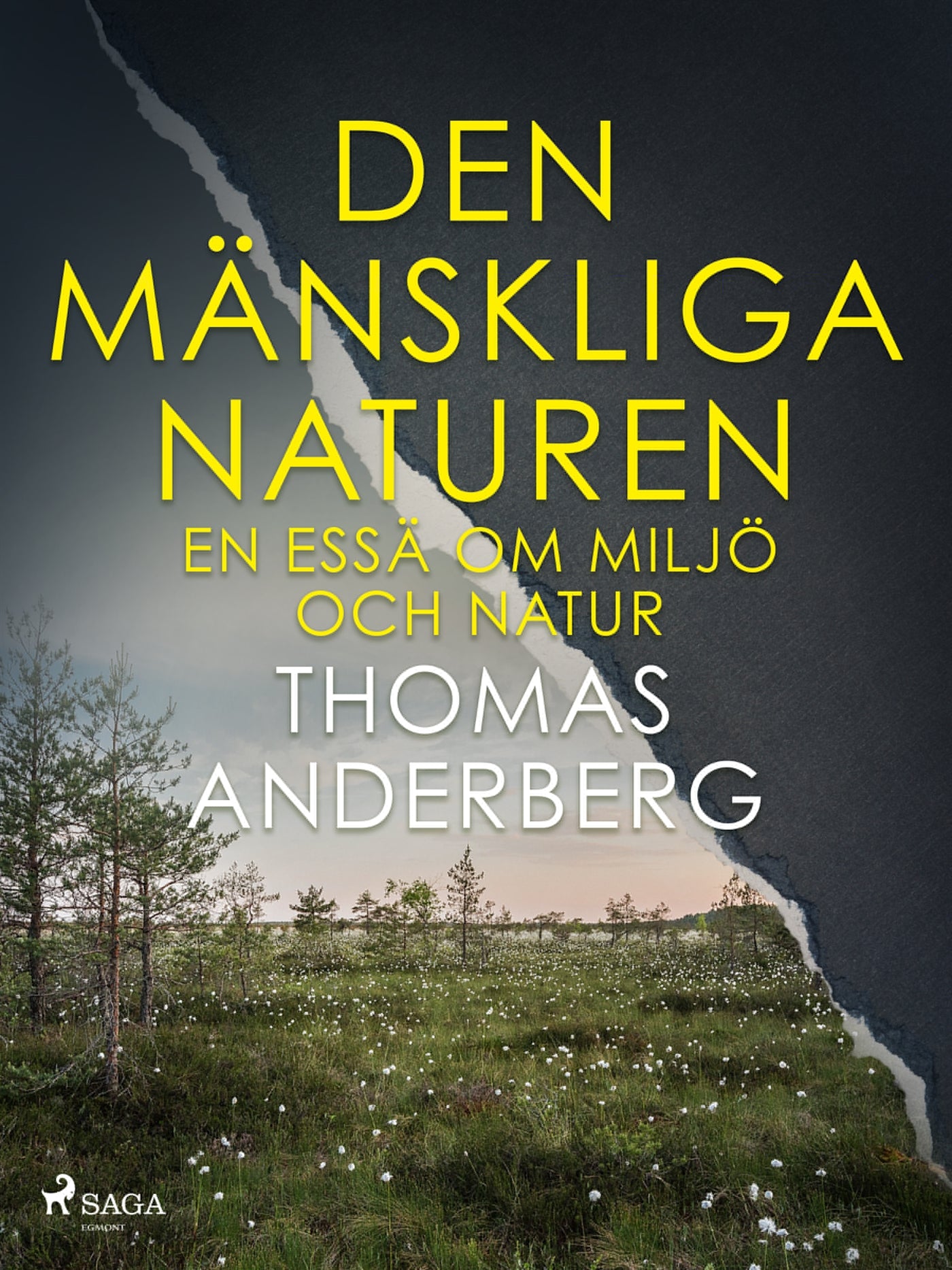 Den mänskliga naturen – E-bok