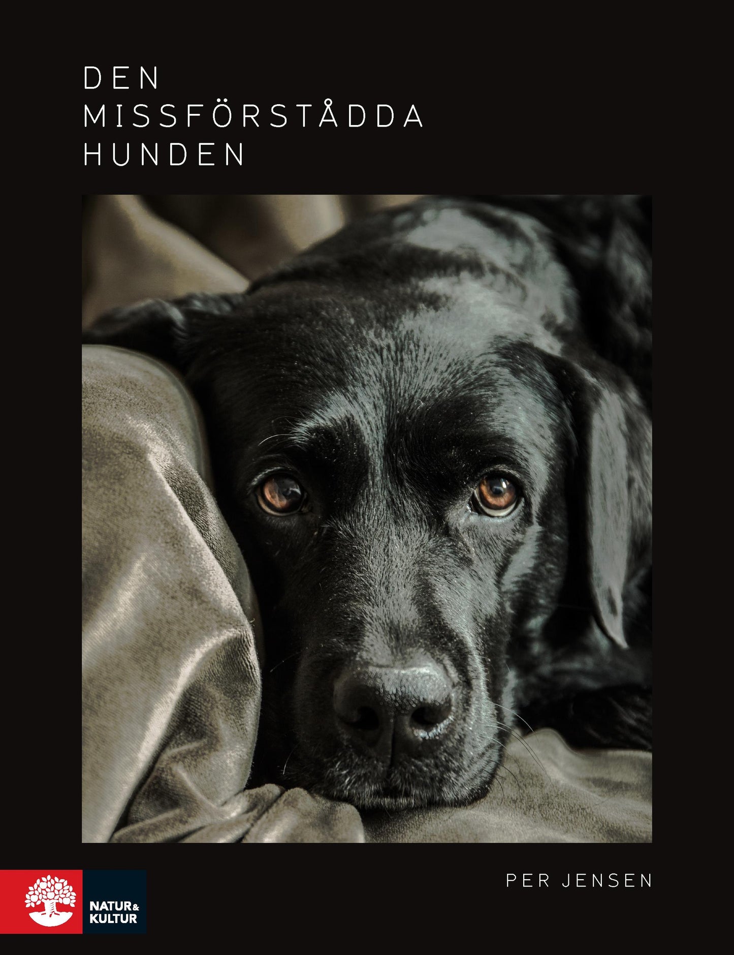 Den missförstådda hunden – E-bok