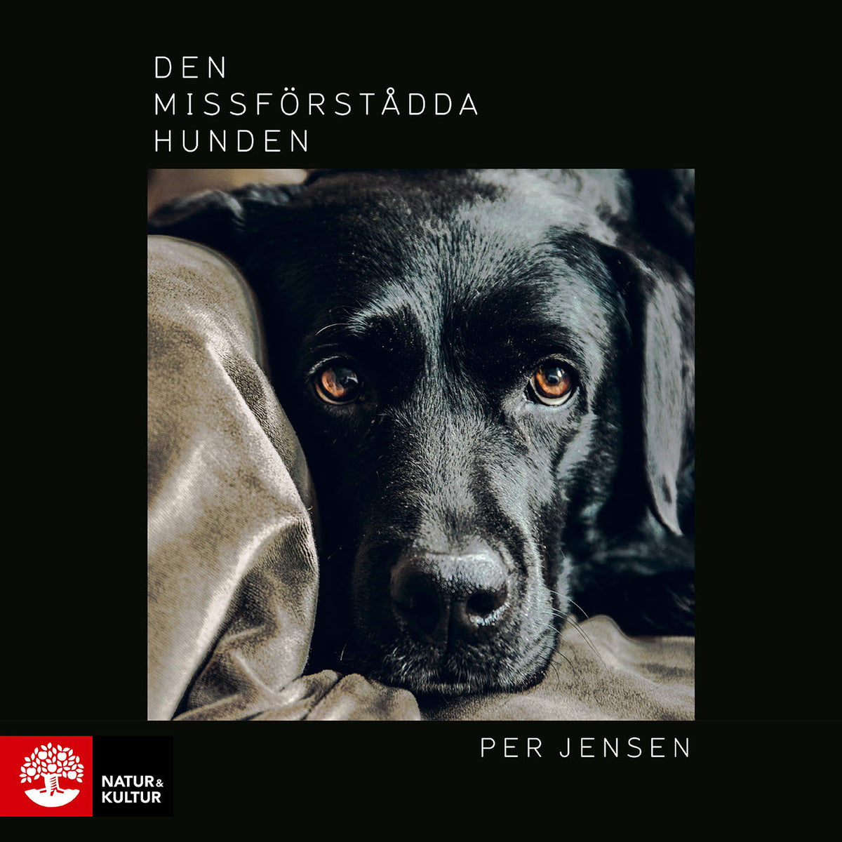 Den missförstådda hunden – Ljudbok