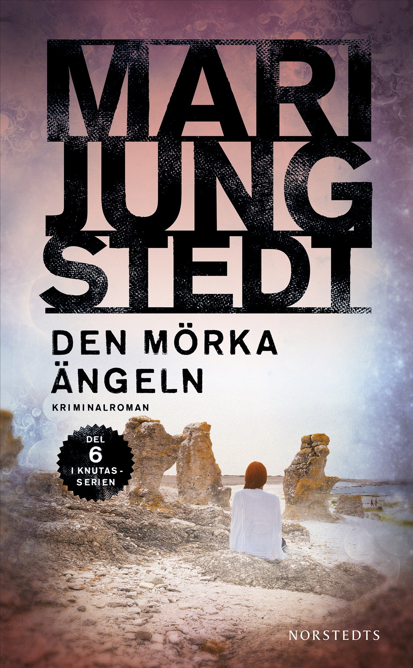 Den mörka ängeln – E-bok