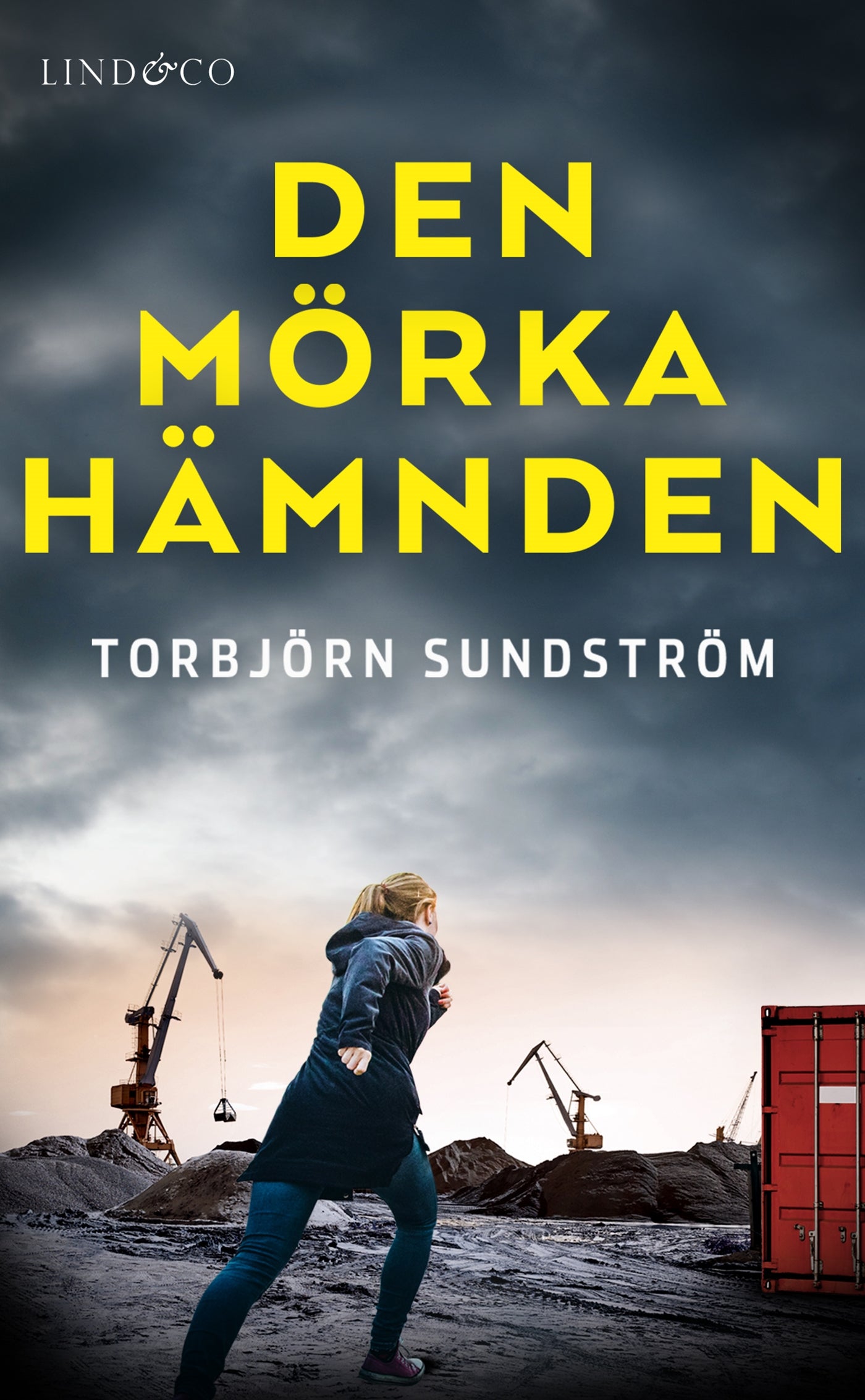 Den mörka hämnden – E-bok