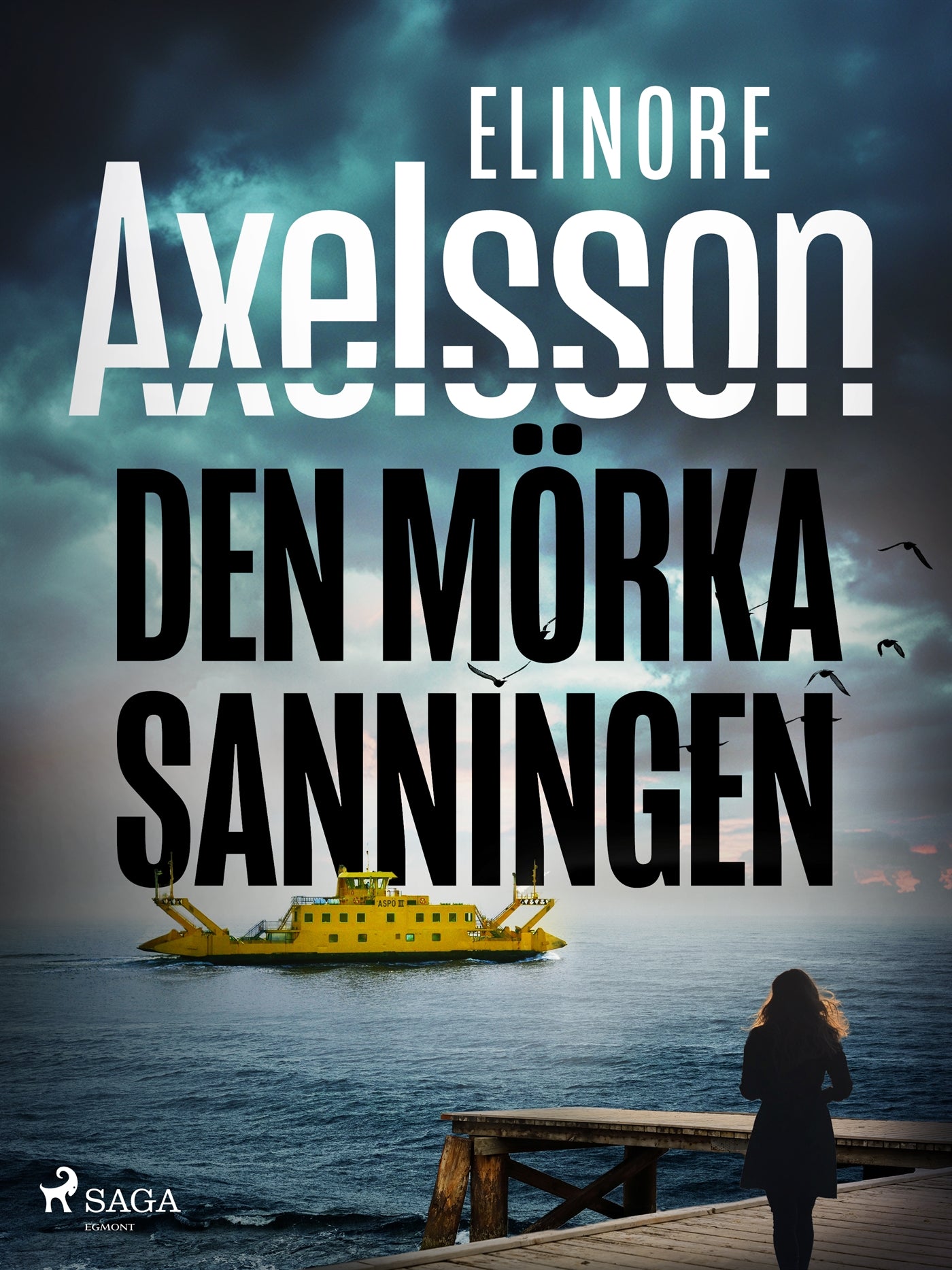 Den mörka sanningen – E-bok
