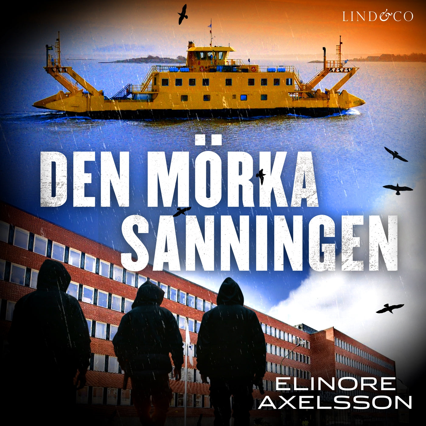 Den mörka sanningen – Ljudbok