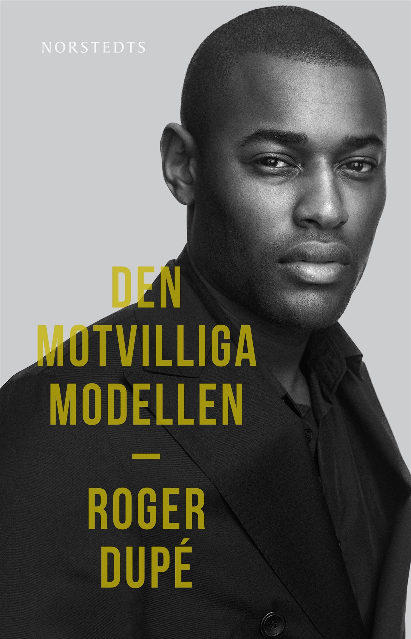 Den motvilliga modellen – E-bok