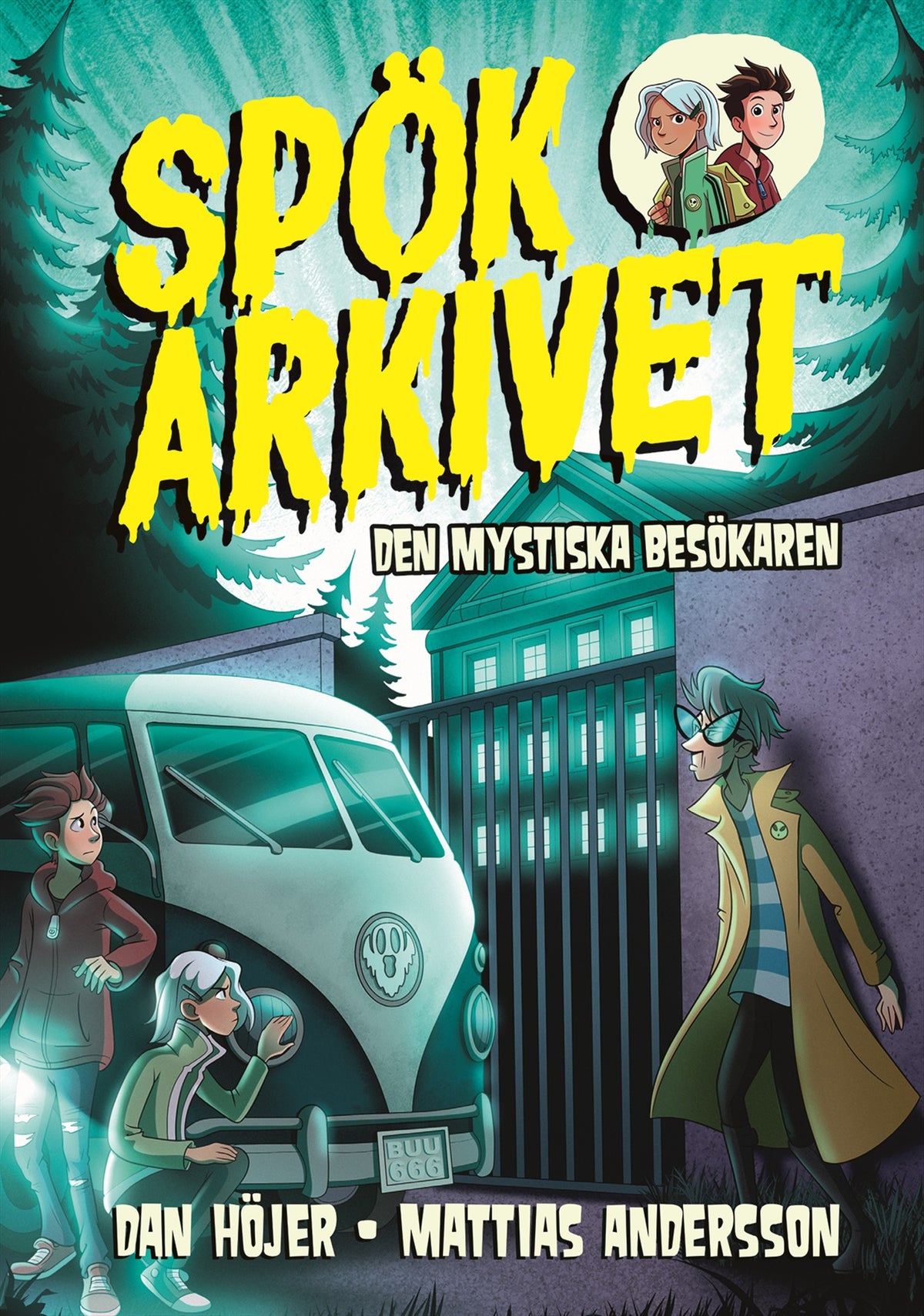 Den mystiska besökaren – E-bok