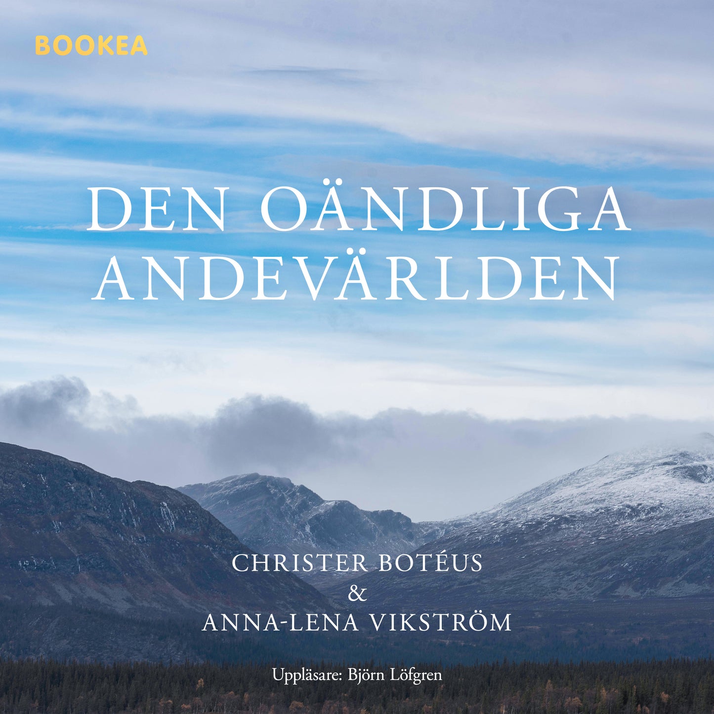 Den oändliga andevärlden – Ljudbok