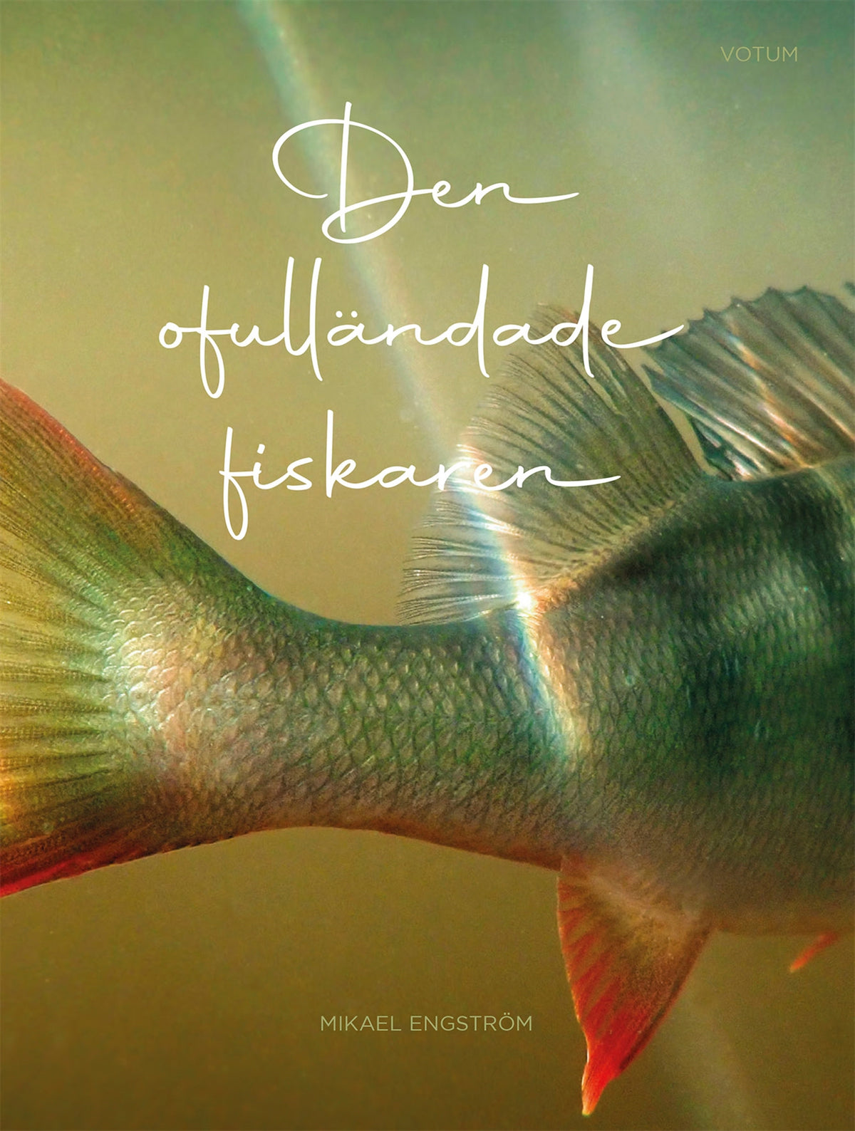 Den ofulländade fiskaren – E-bok