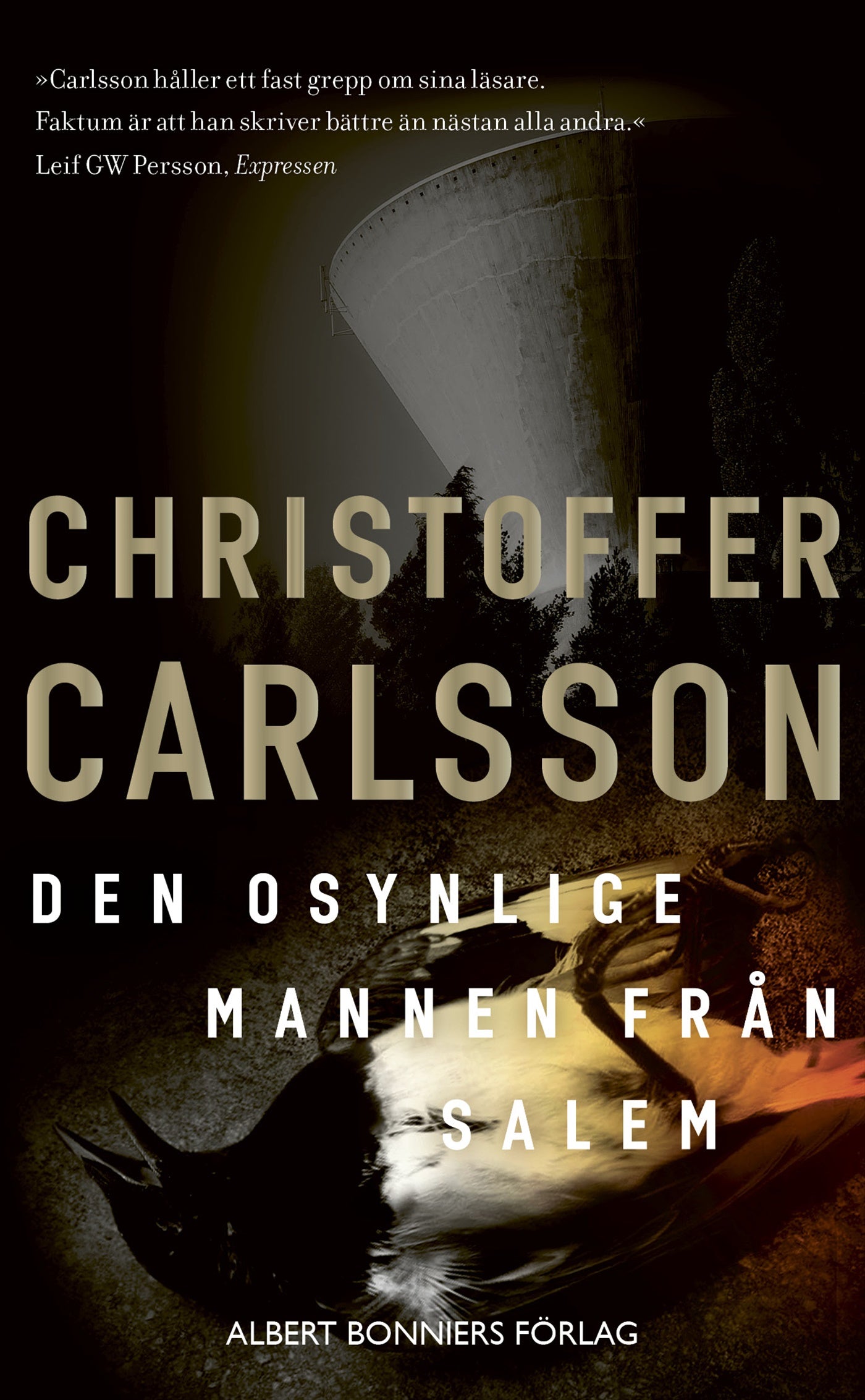 Den osynlige mannen från Salem – E-bok
