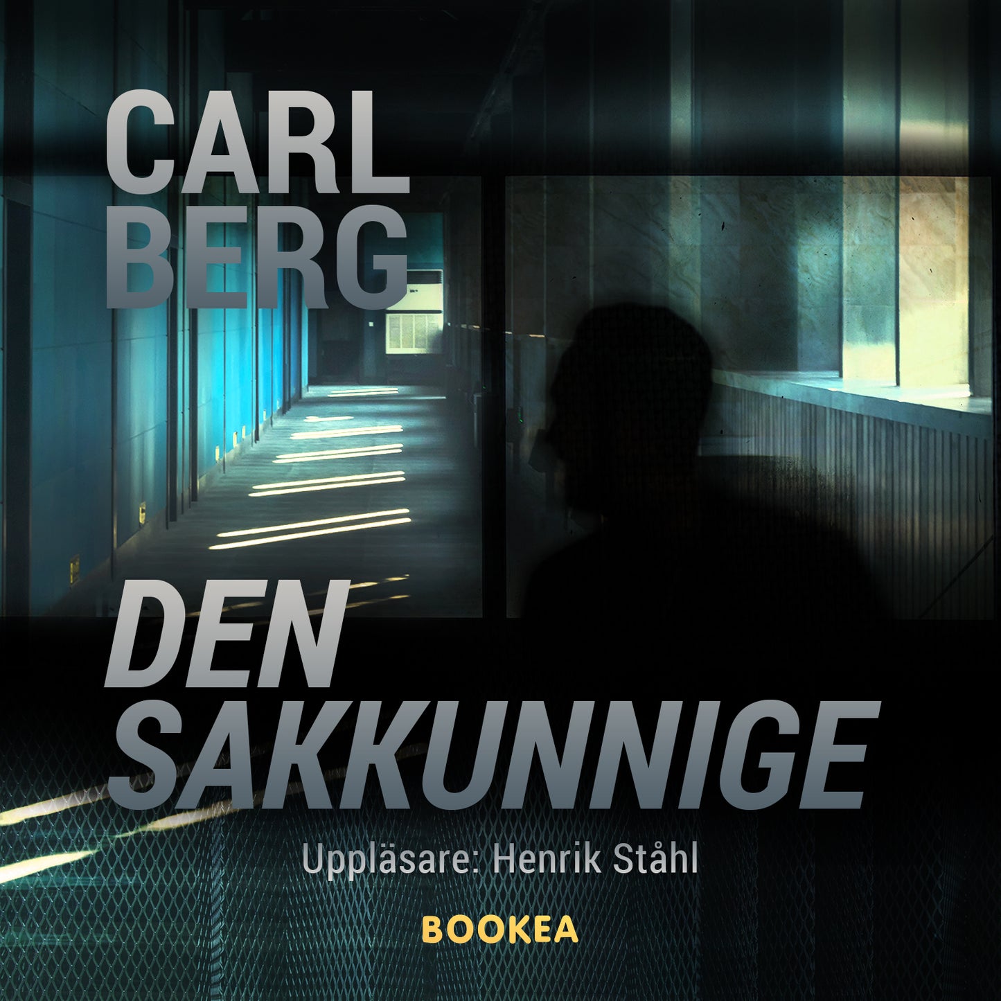 Den sakkunnige – Ljudbok