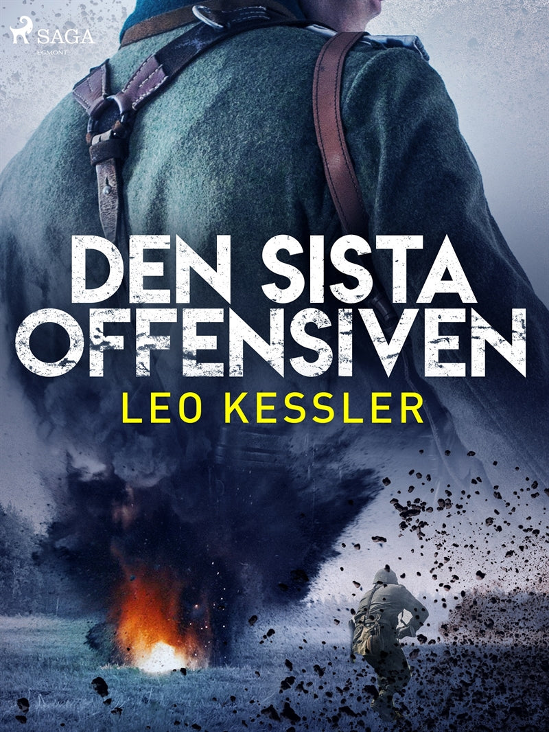Den sista offensiven – E-bok