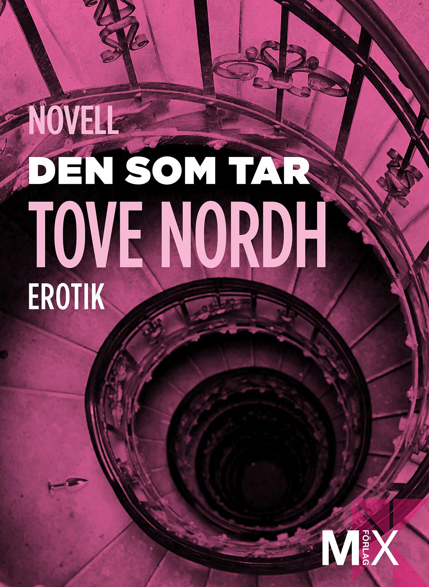 Den som tar – E-bok