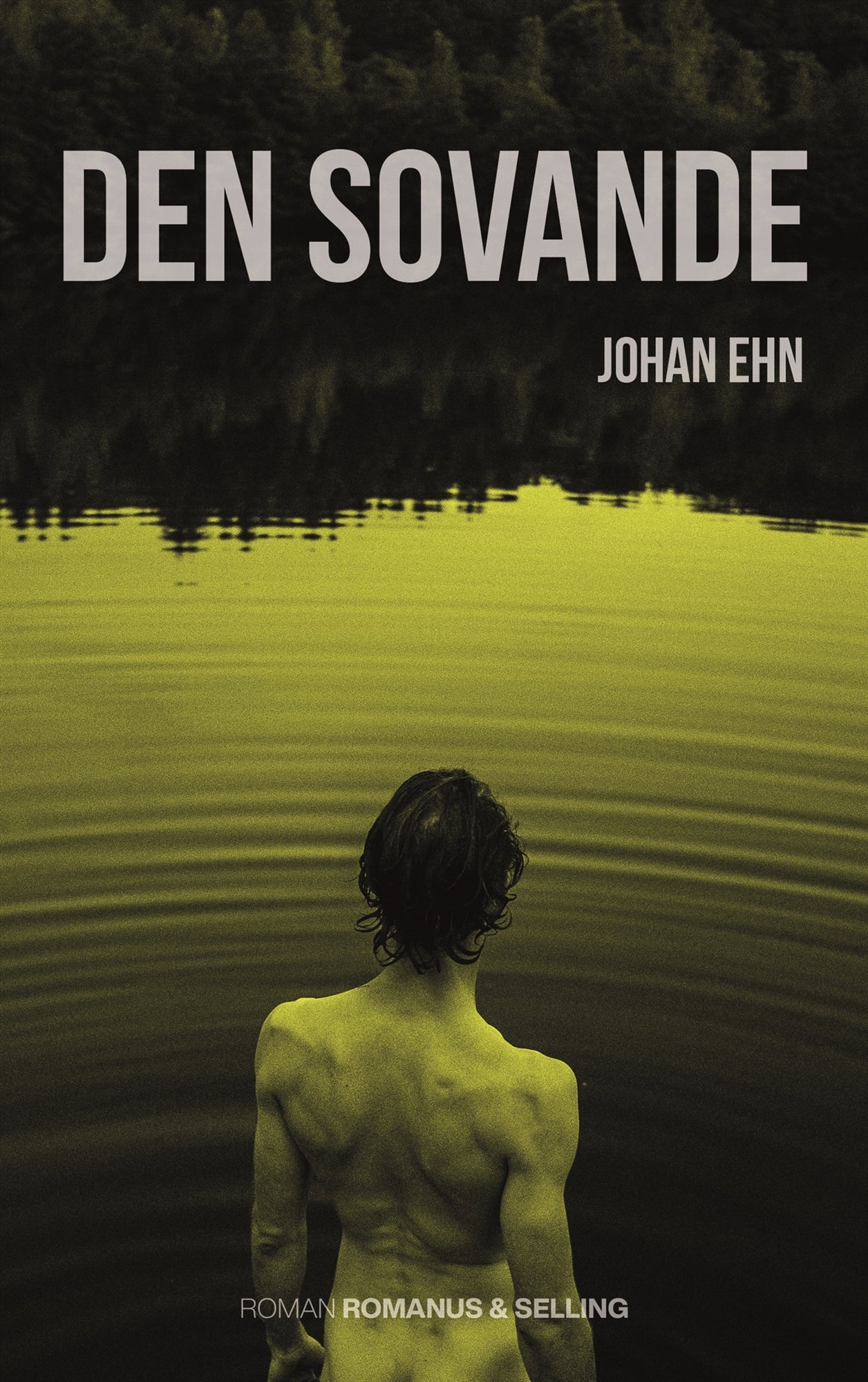 Den sovande – E-bok