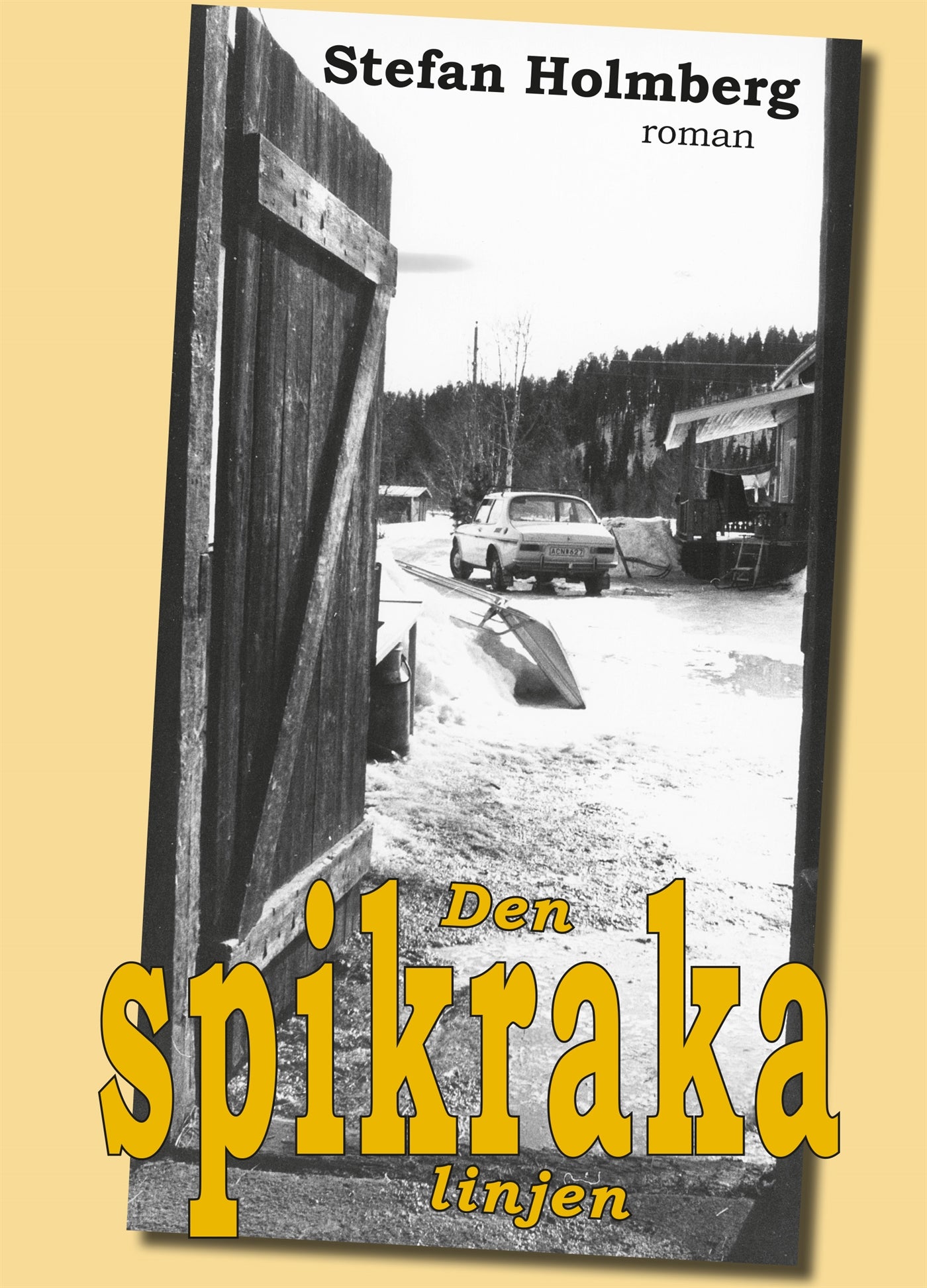 Den spikraka linjen – E-bok