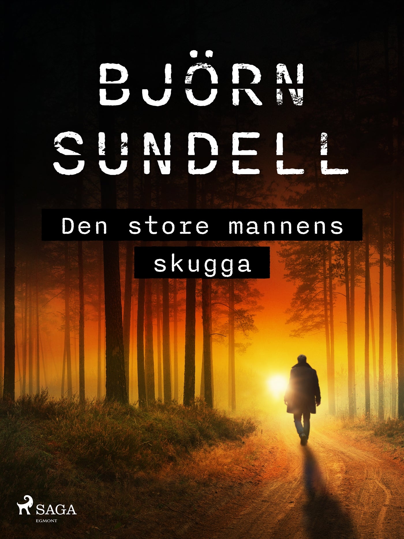 Den store mannens skugga – E-bok