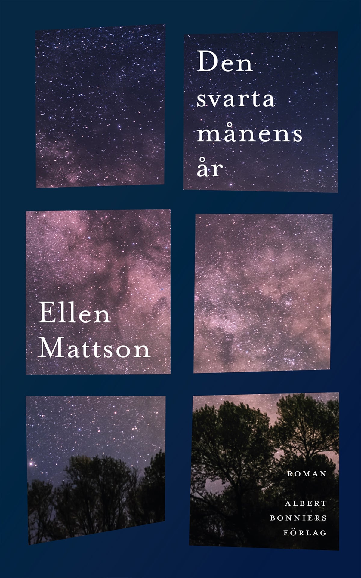 Den svarta månens år – E-bok