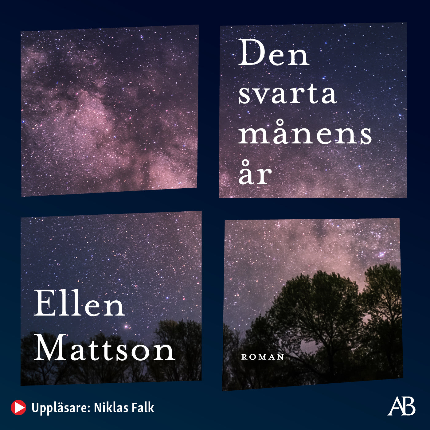 Den svarta månens år – Ljudbok